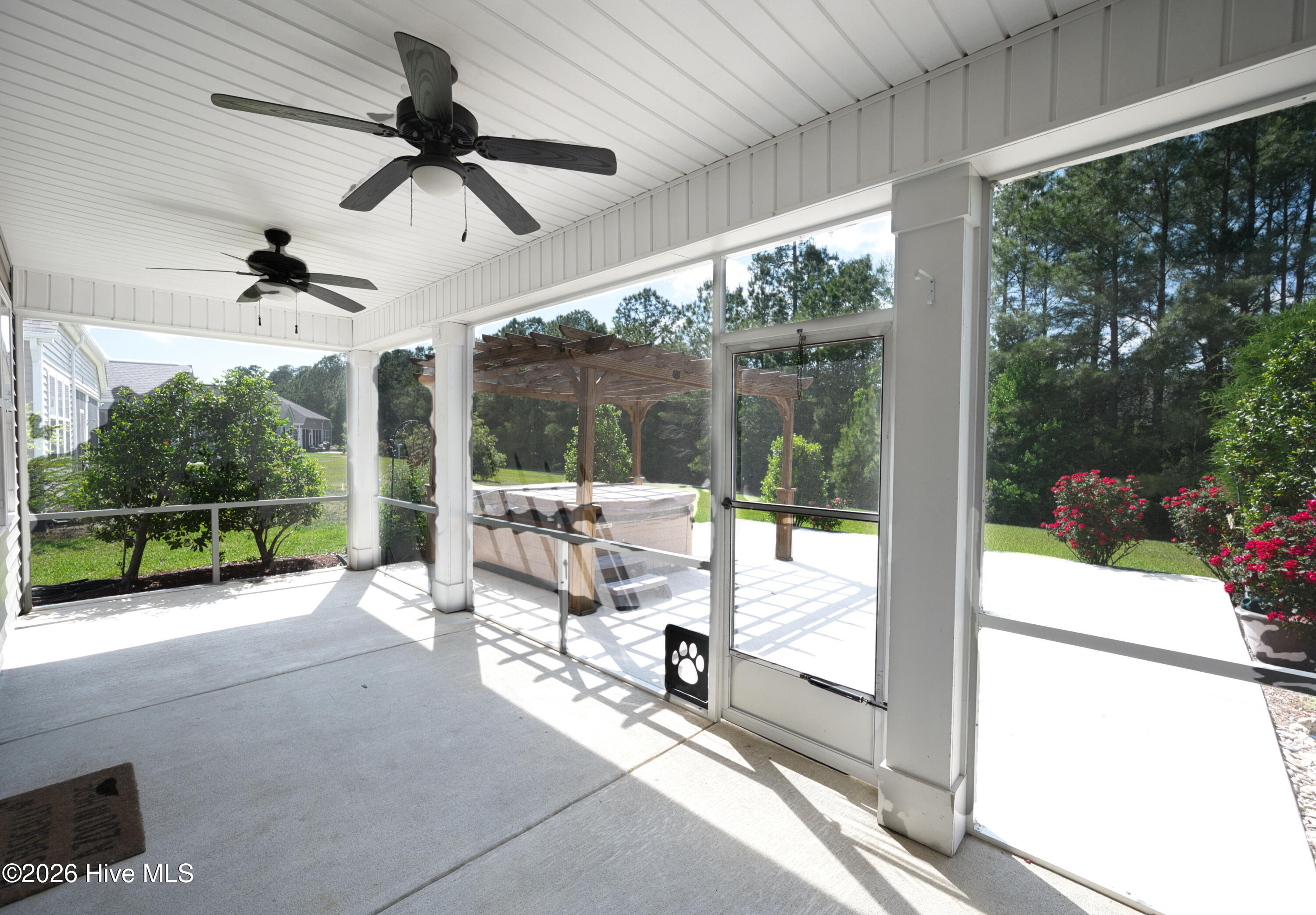 100569756 | Photo 50