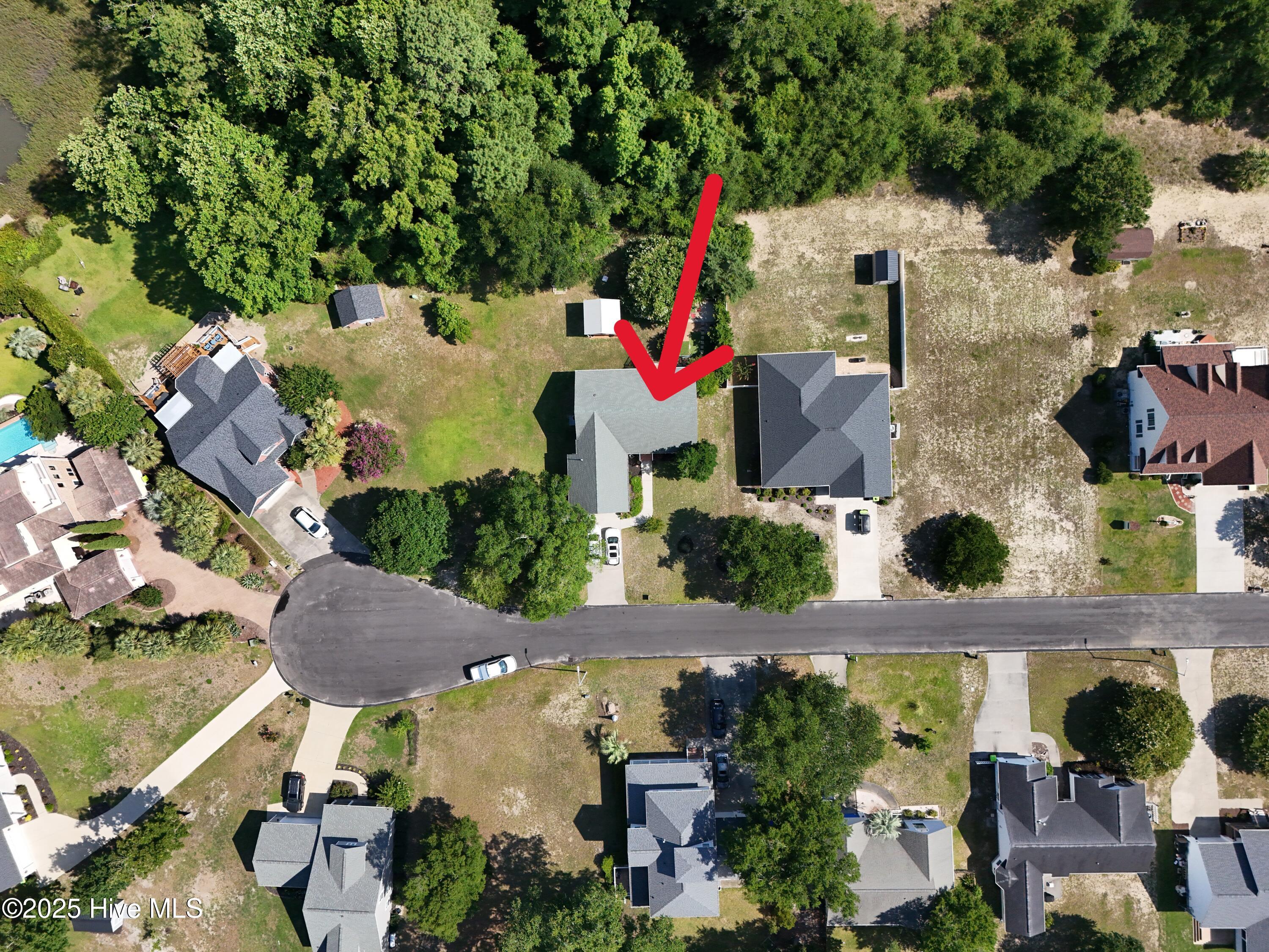 100519344 | Photo 18