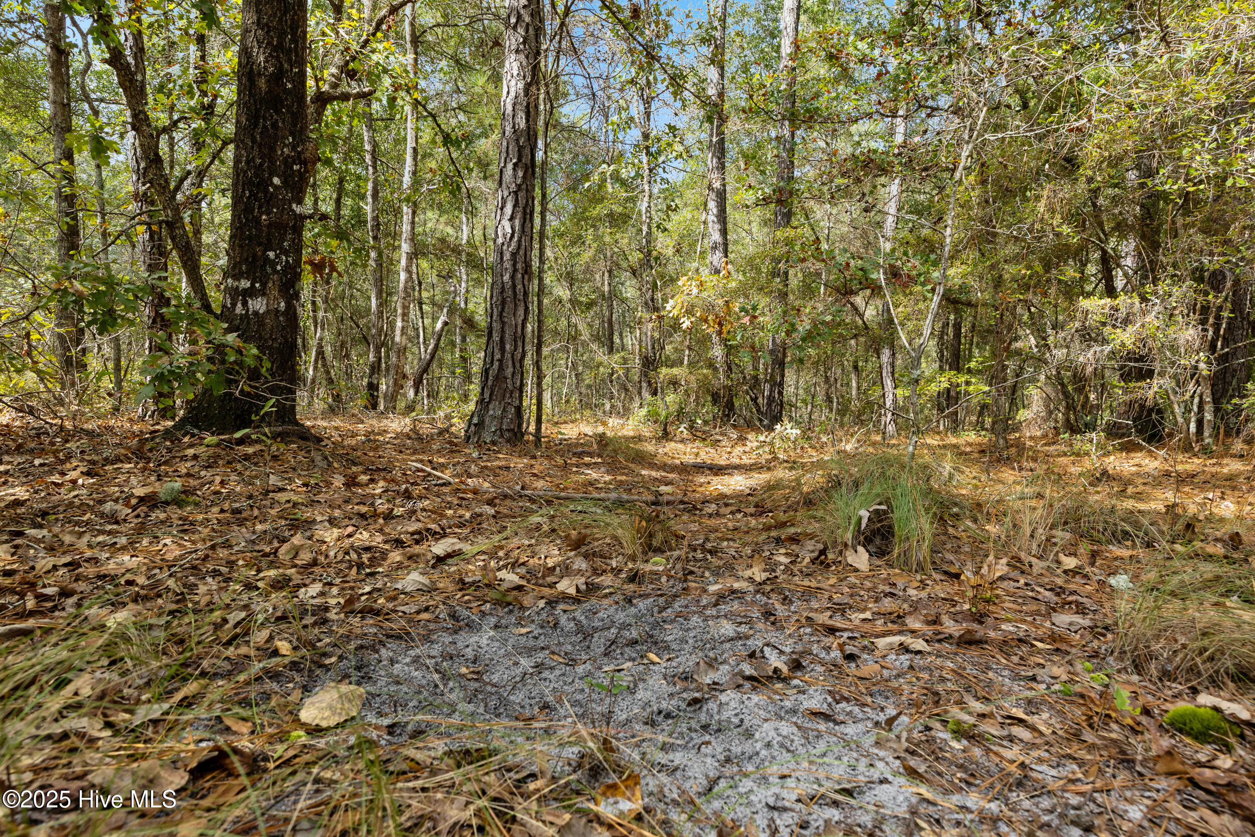 100536371 | Photo 30