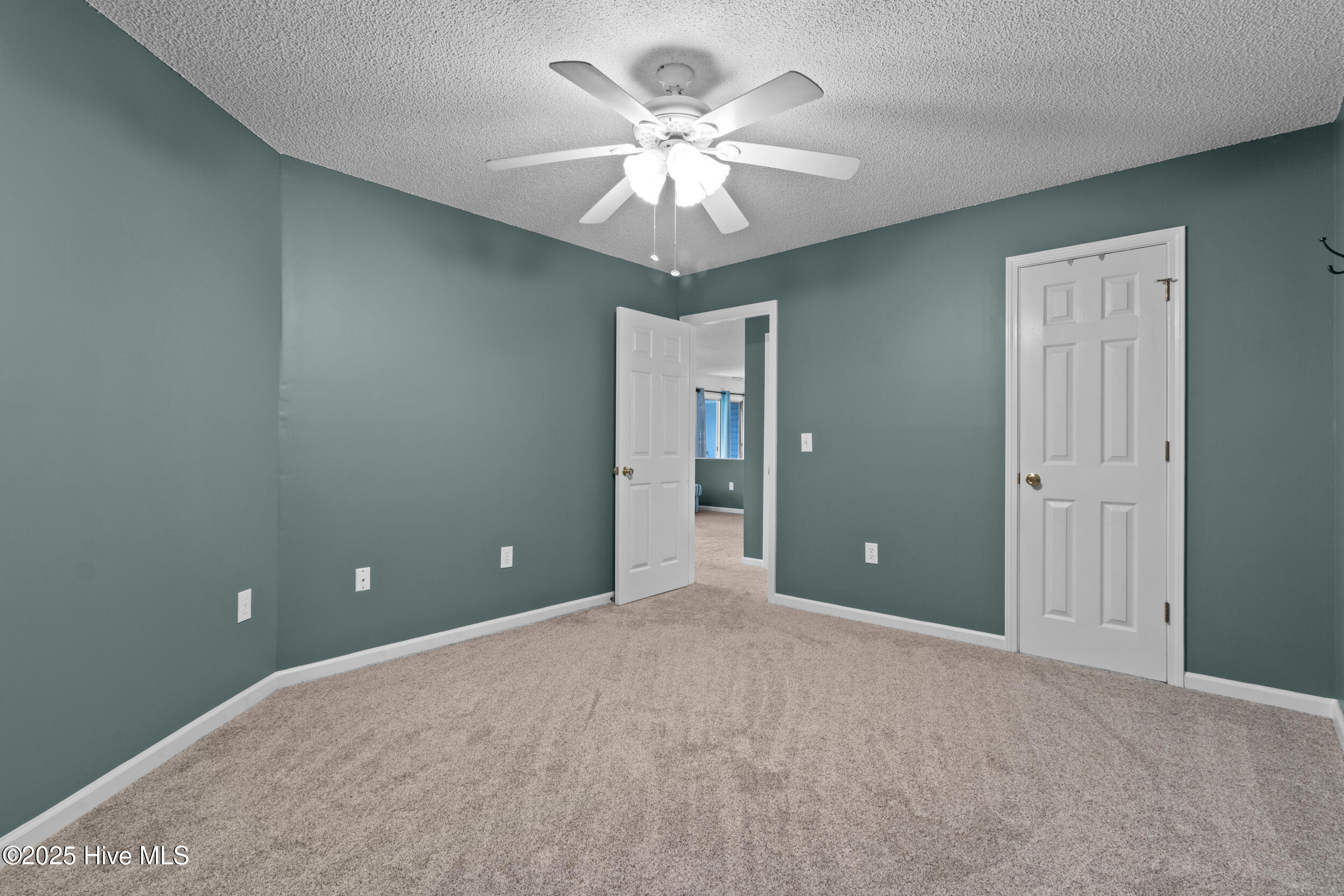 100528795 | Photo 16