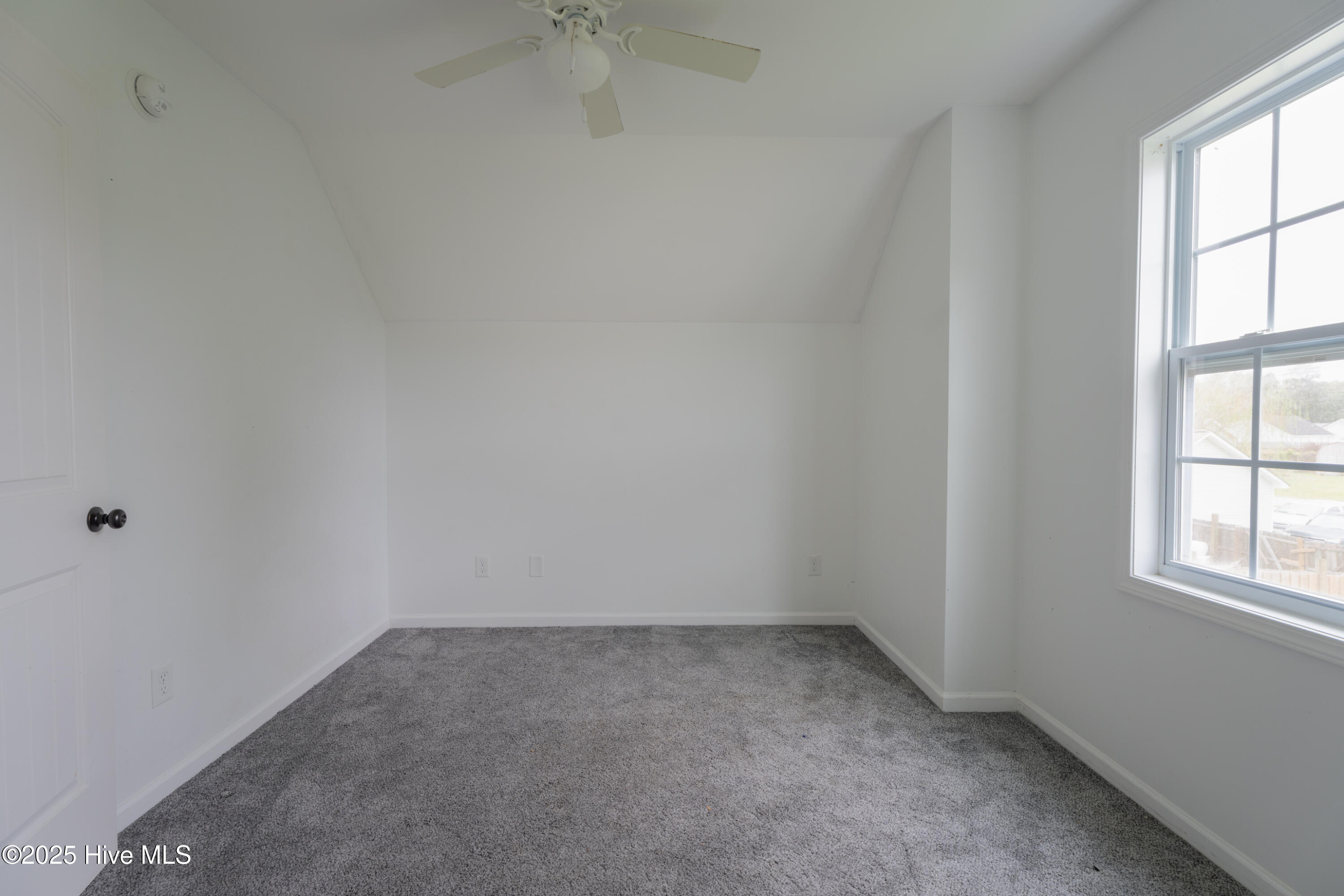 100536355 | Photo 16