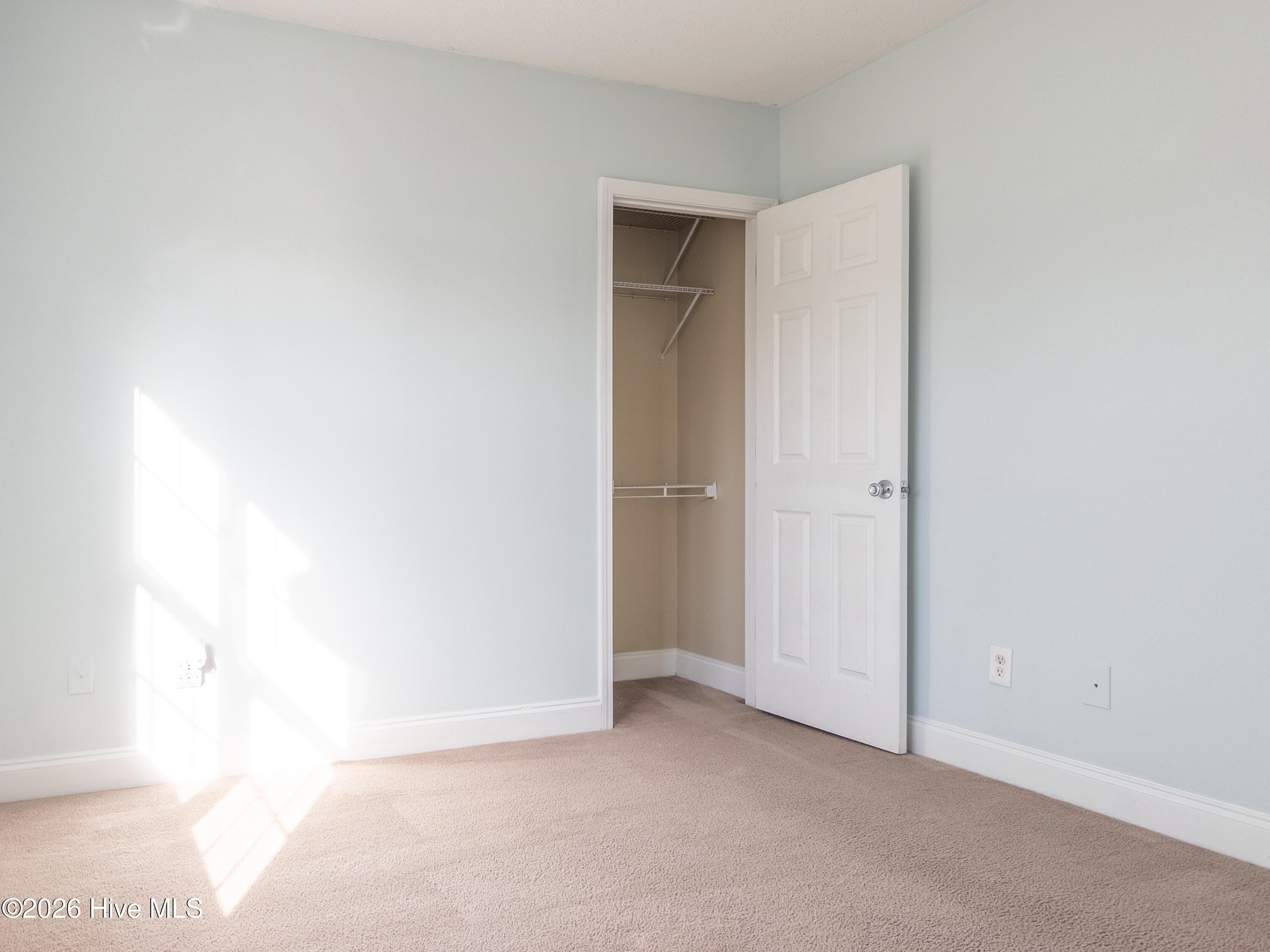 100558413 | Photo 18