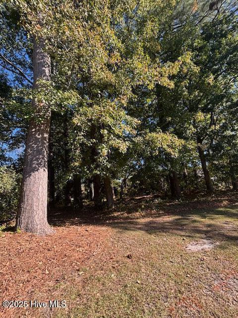 Homes for sale in Kinston, NC | 2905 Tacoma Dr, Kinston, NC 28504 | MLS# 100552421