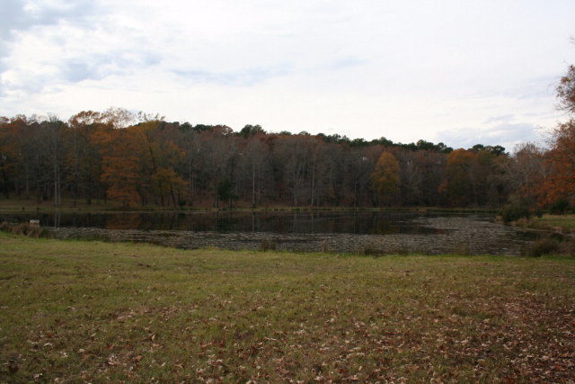 Double Branches Road, Lincolnton, GA 30817 Listing Photo  13