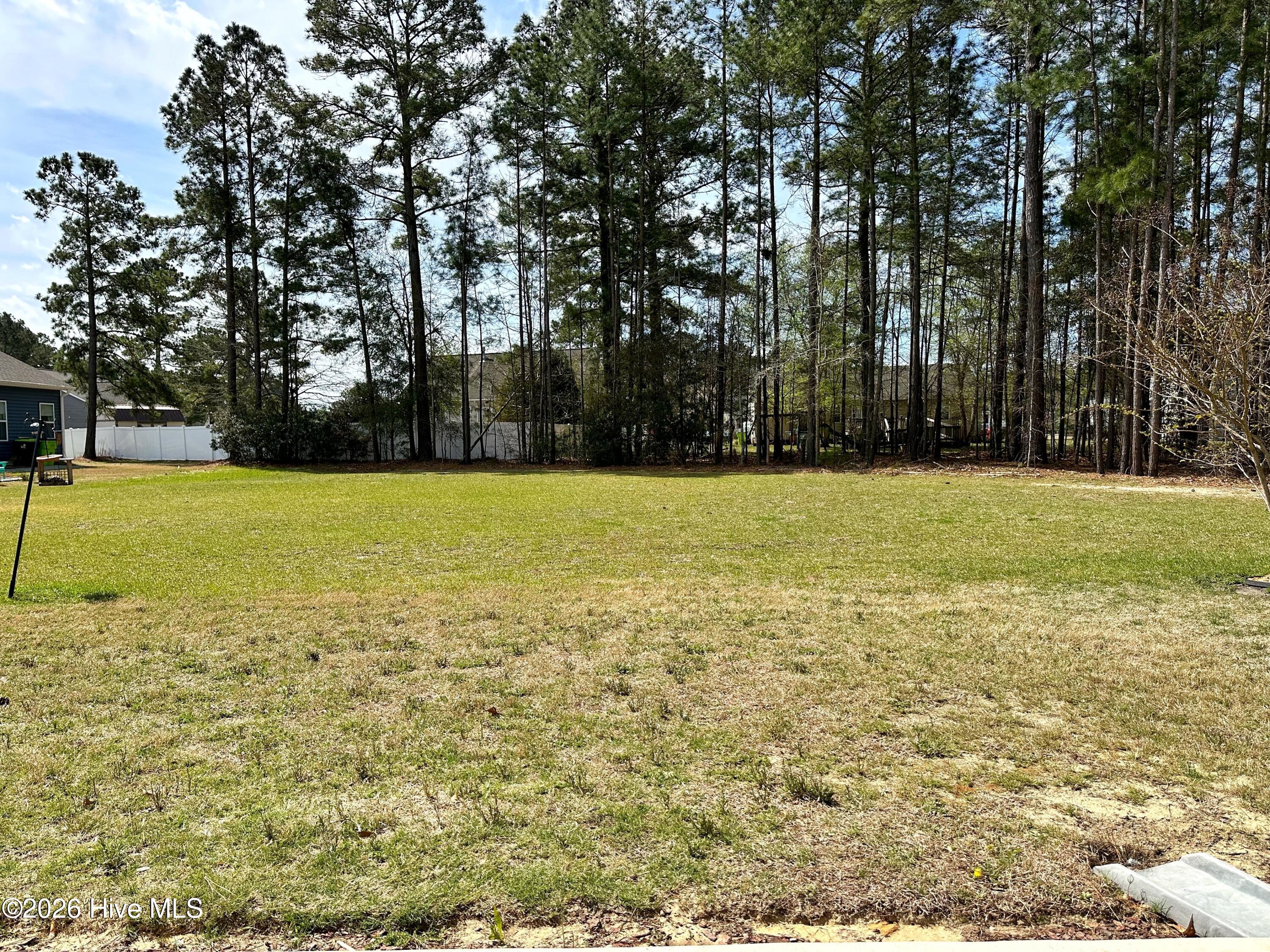 1002 Rodanthe Drive,New Bern