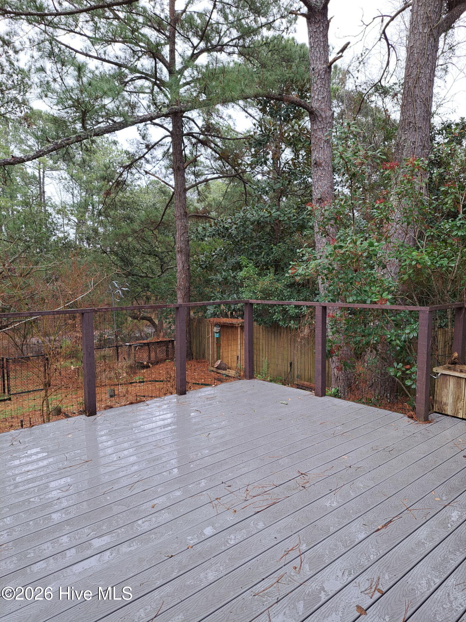 100521049 | Photo 35