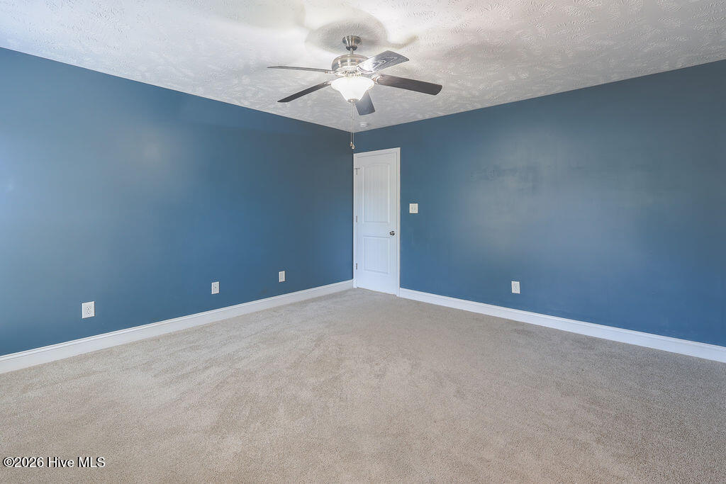 100548131 | Photo 22