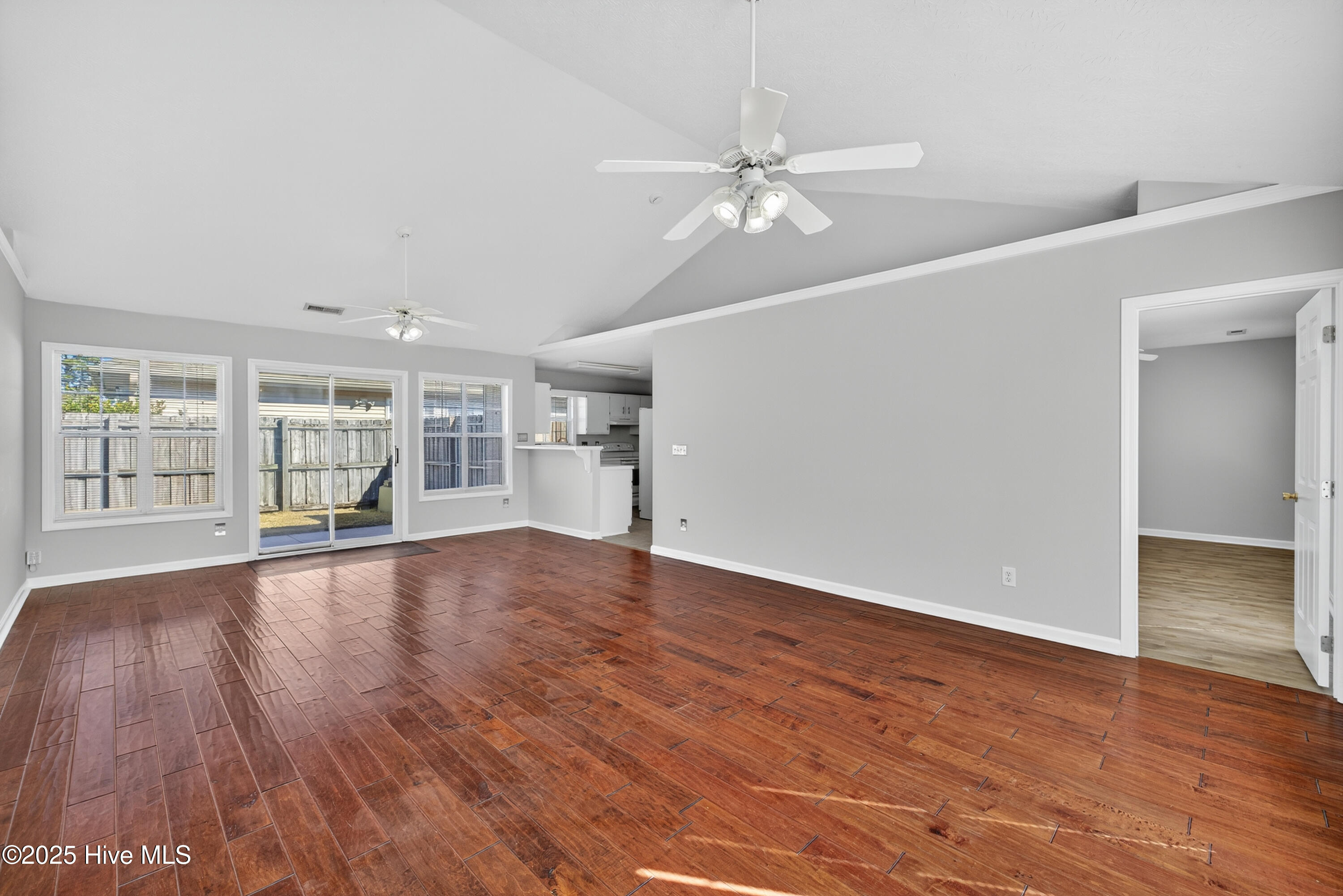 100541920 | Photo 11