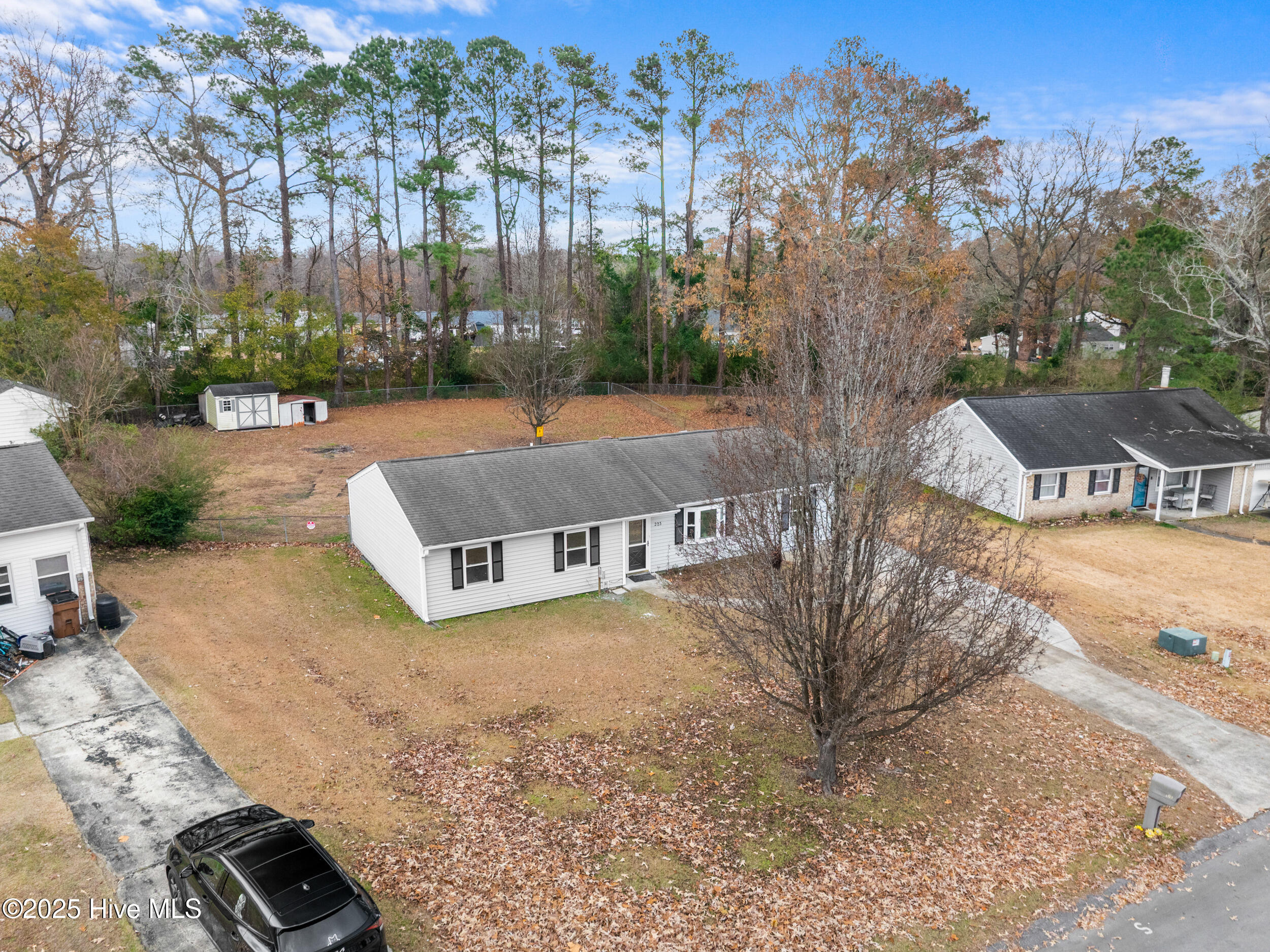 100546009 | Photo 54