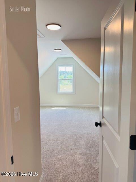 100543718 | Photo 22