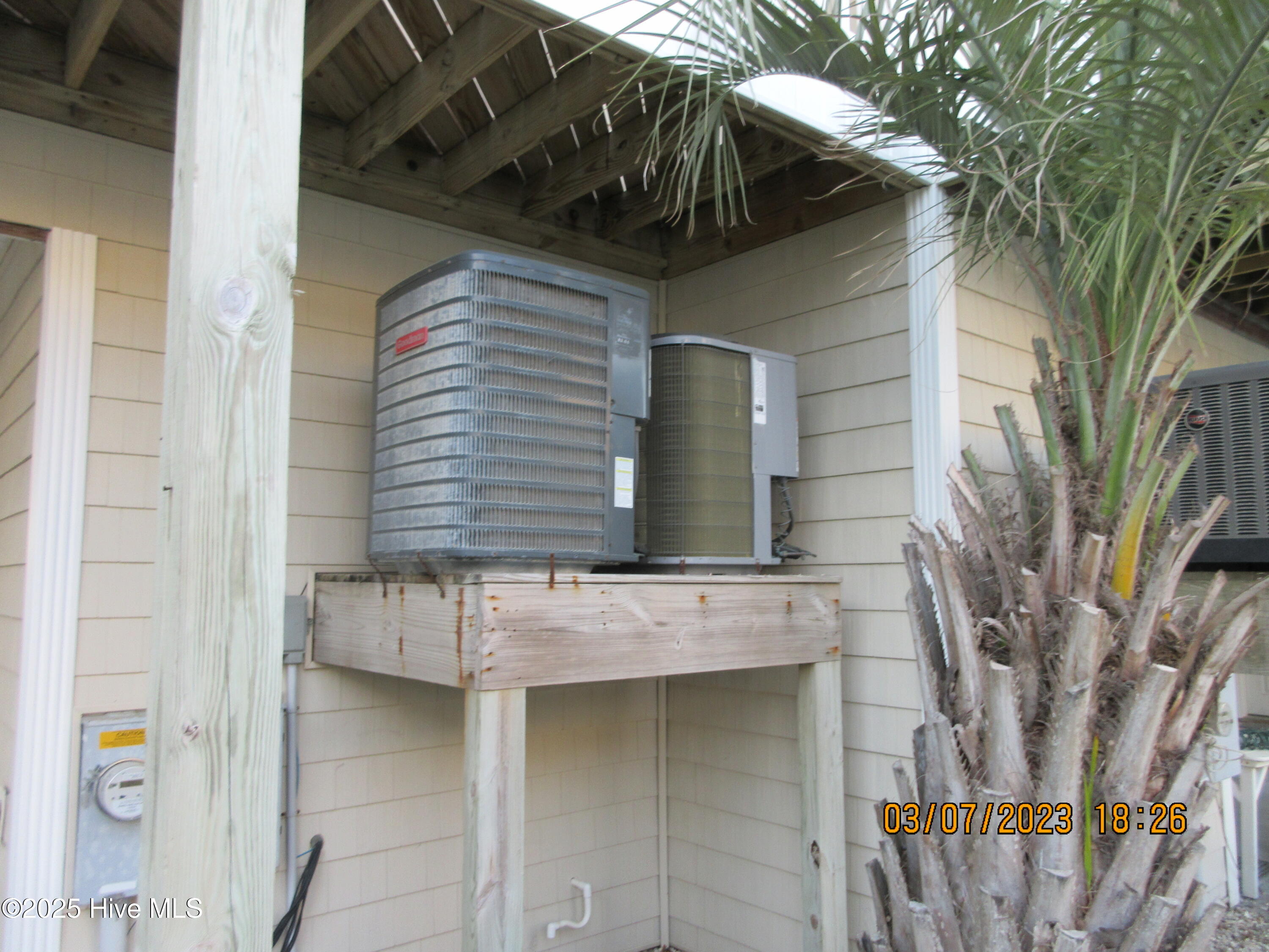 100525203 | Photo 13