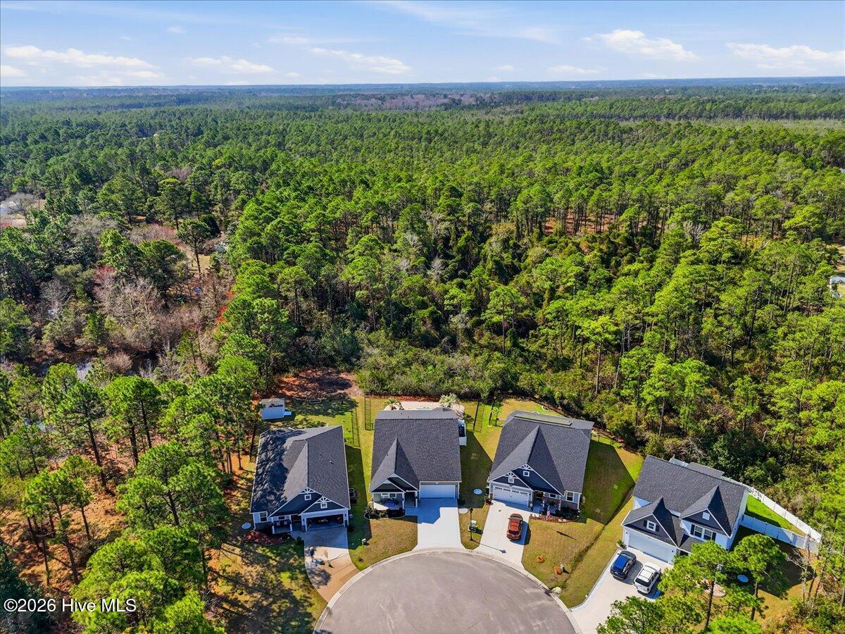 100560173 | Photo 81