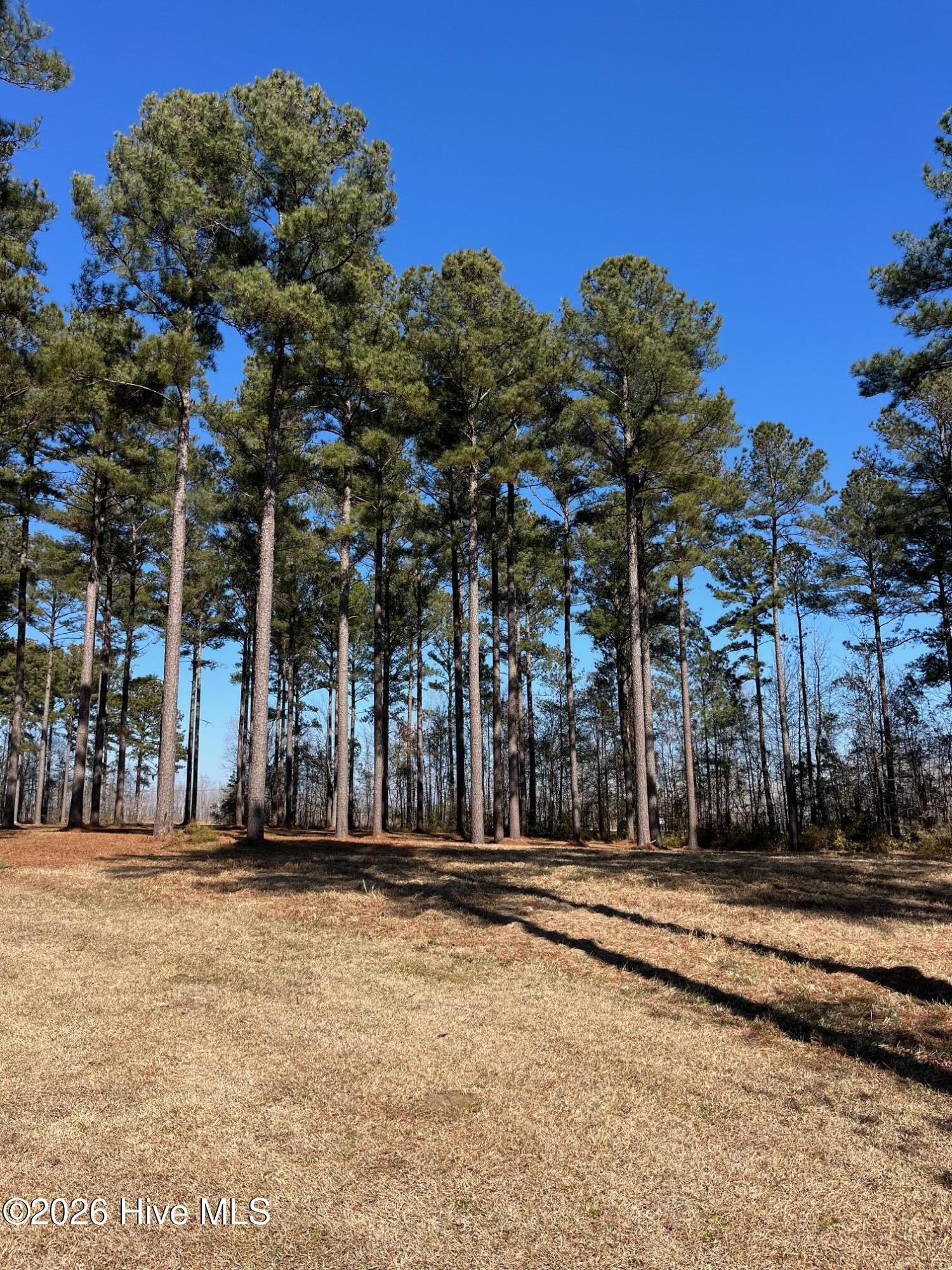 2 122 Bald Head Island Court S,Oriental