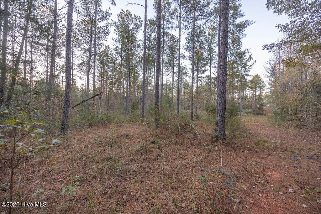 Photo 1 of Land for sale at 0 Barr Chapel Rd, Edgefield, SC 29824 | MLS# 100608765 | Listing updated on 2026-10-07