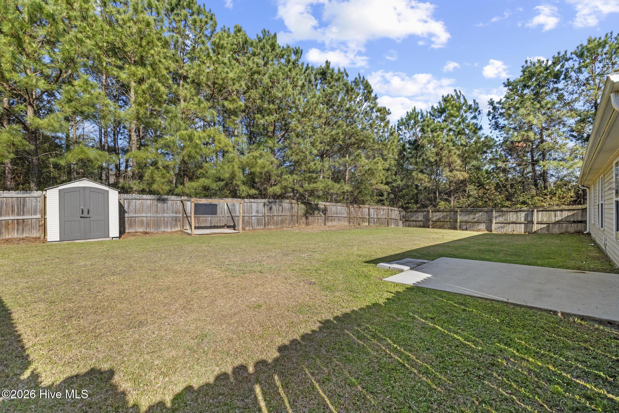 100565553 | Photo 26