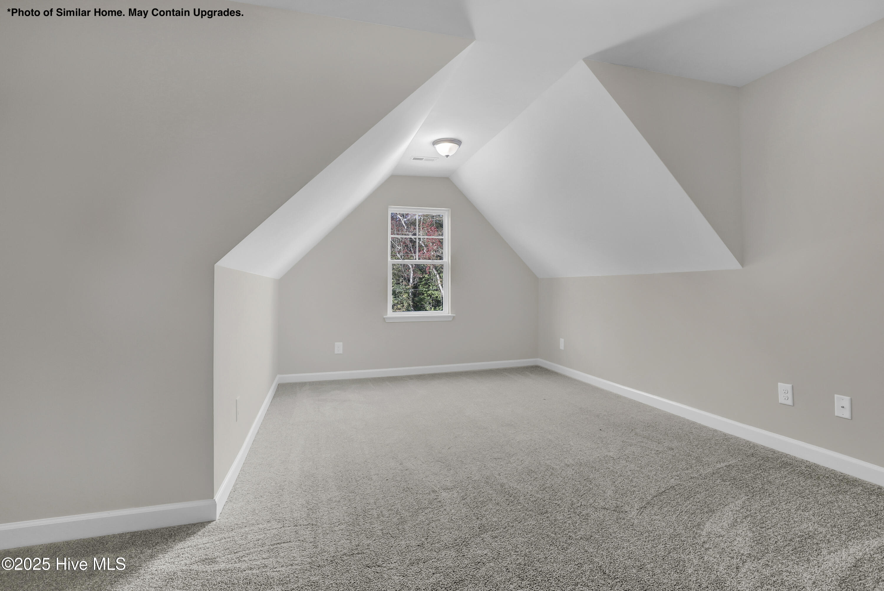 100514032 | Photo 22