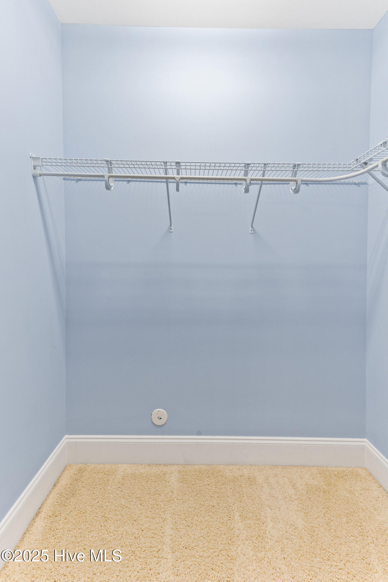 100518149 | Photo 16