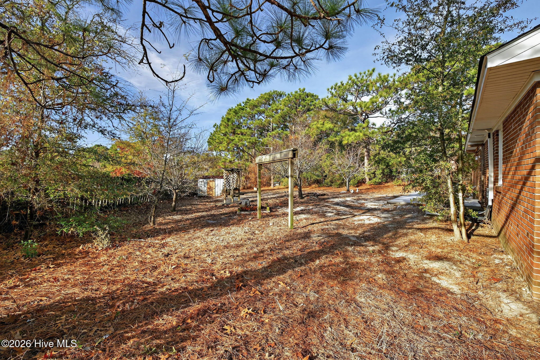 100547847 | Photo 29