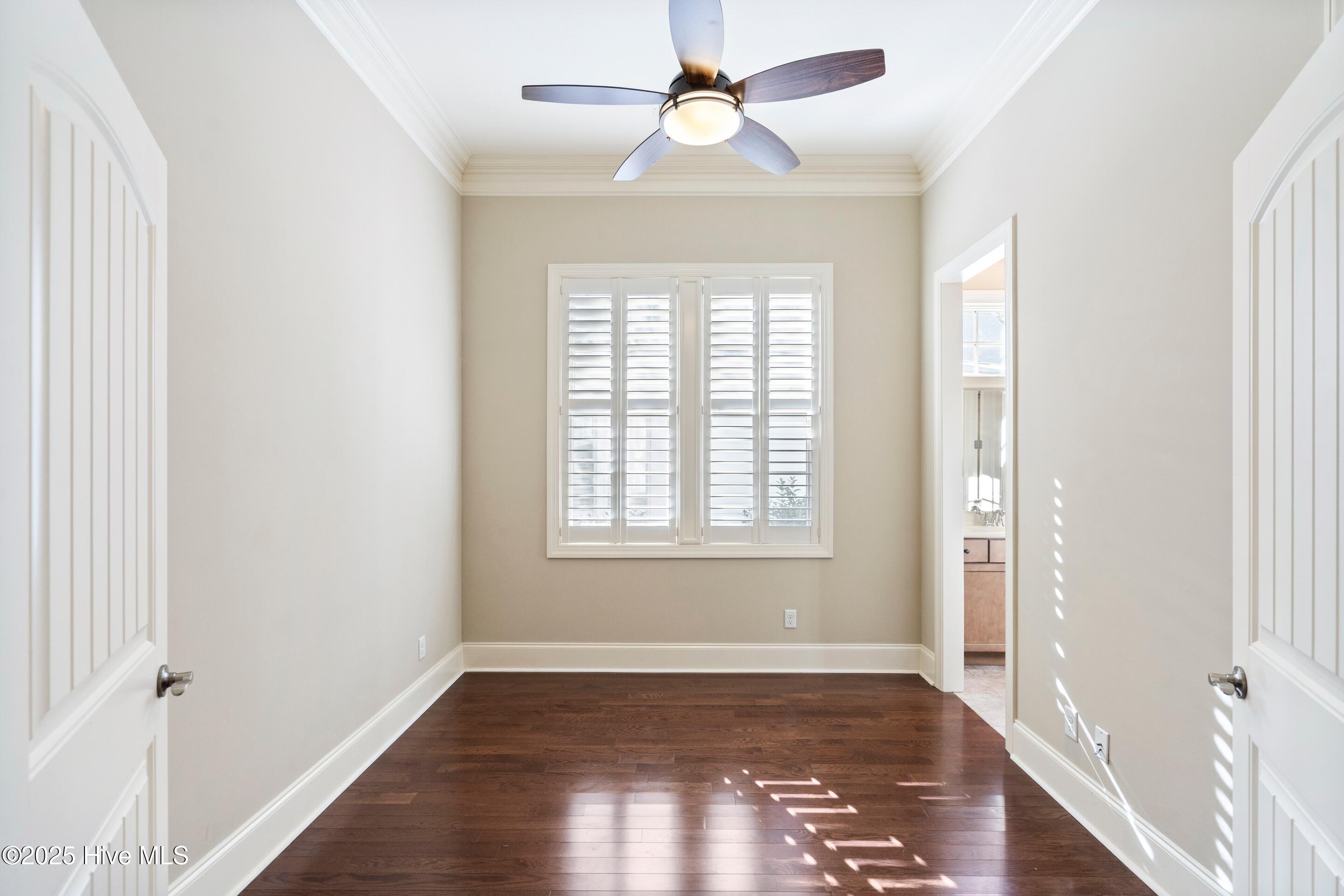 100537551 | Photo 25