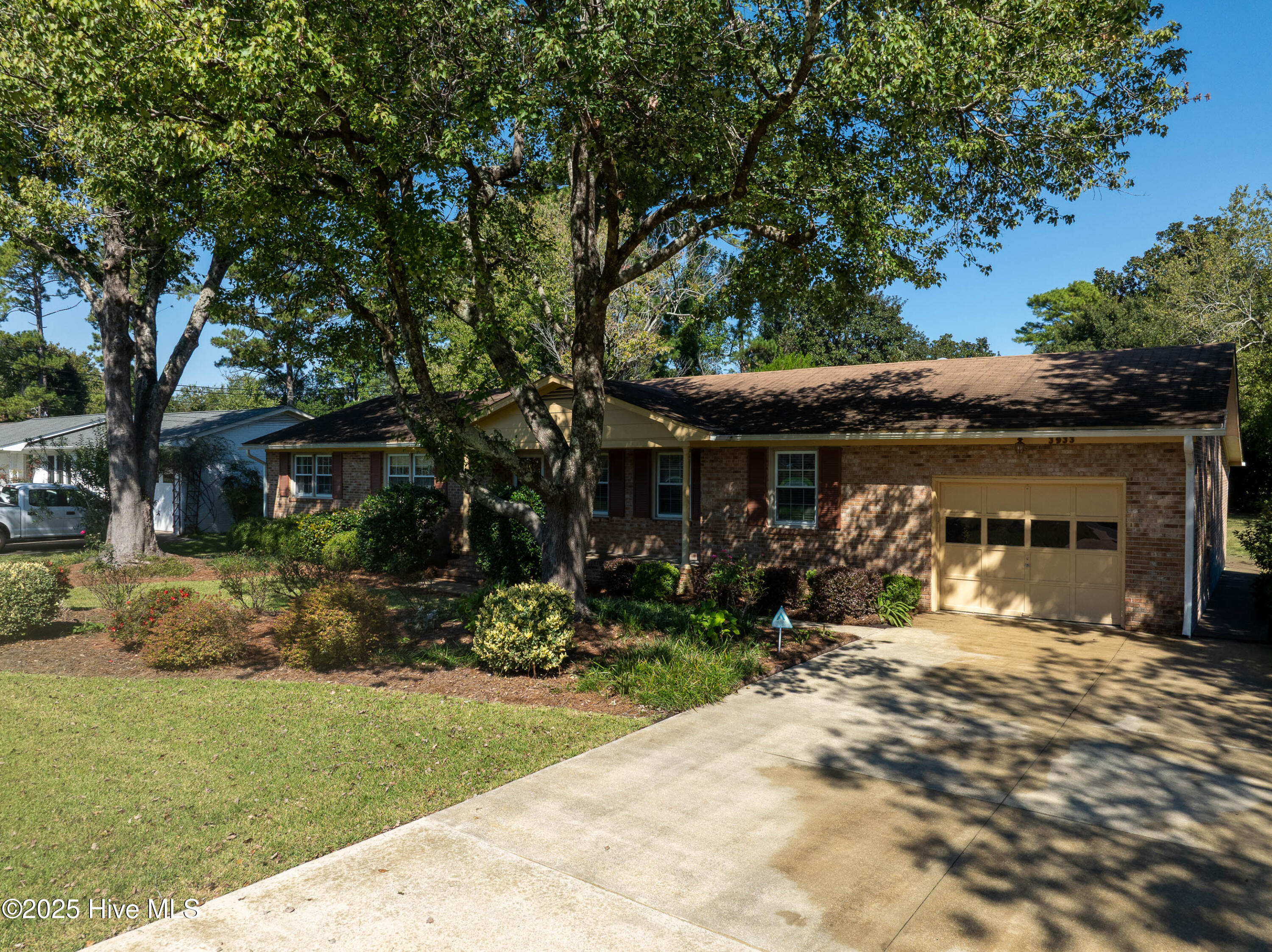 100536869 | Photo 10