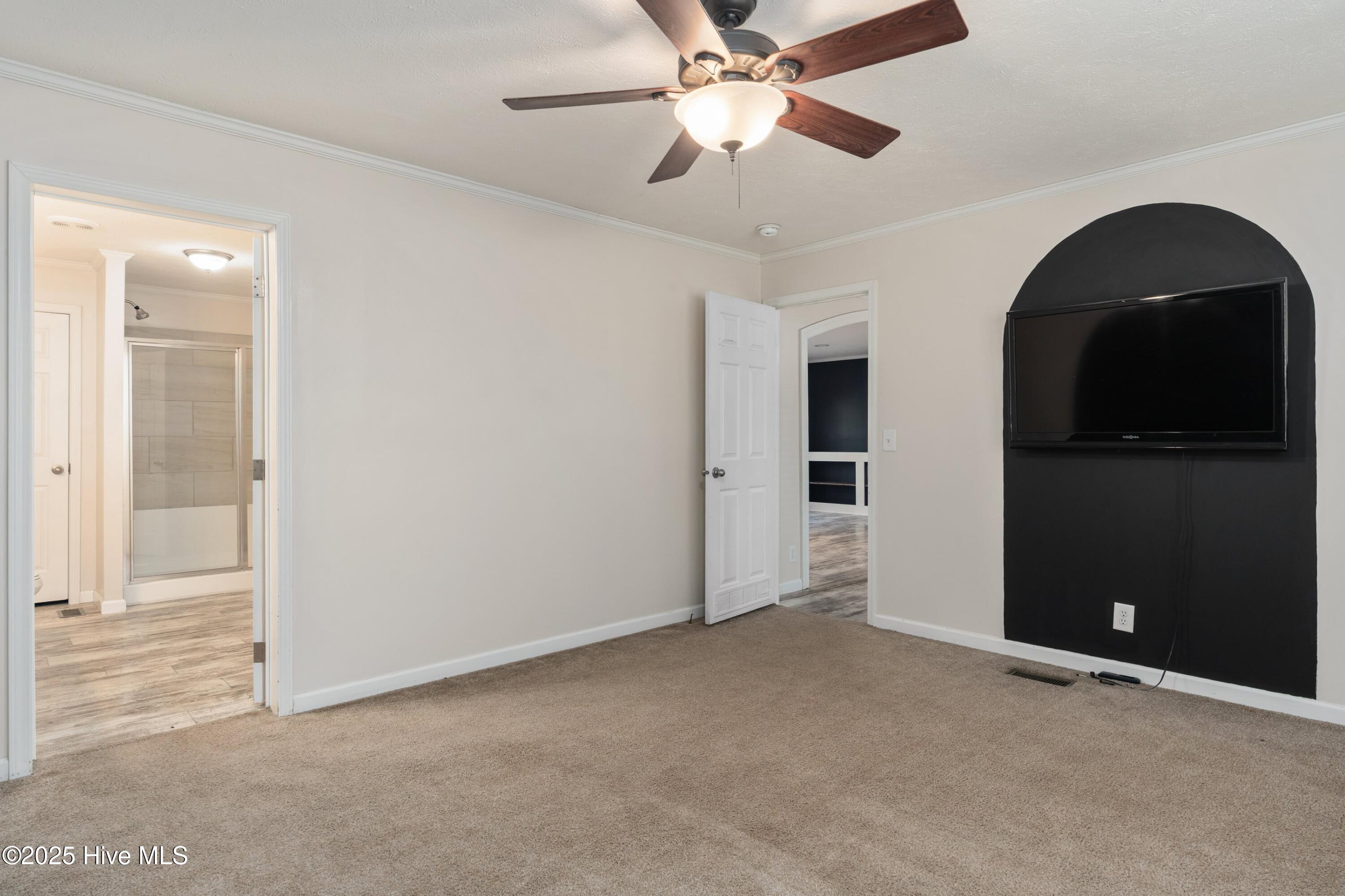 100538120 | Photo 12