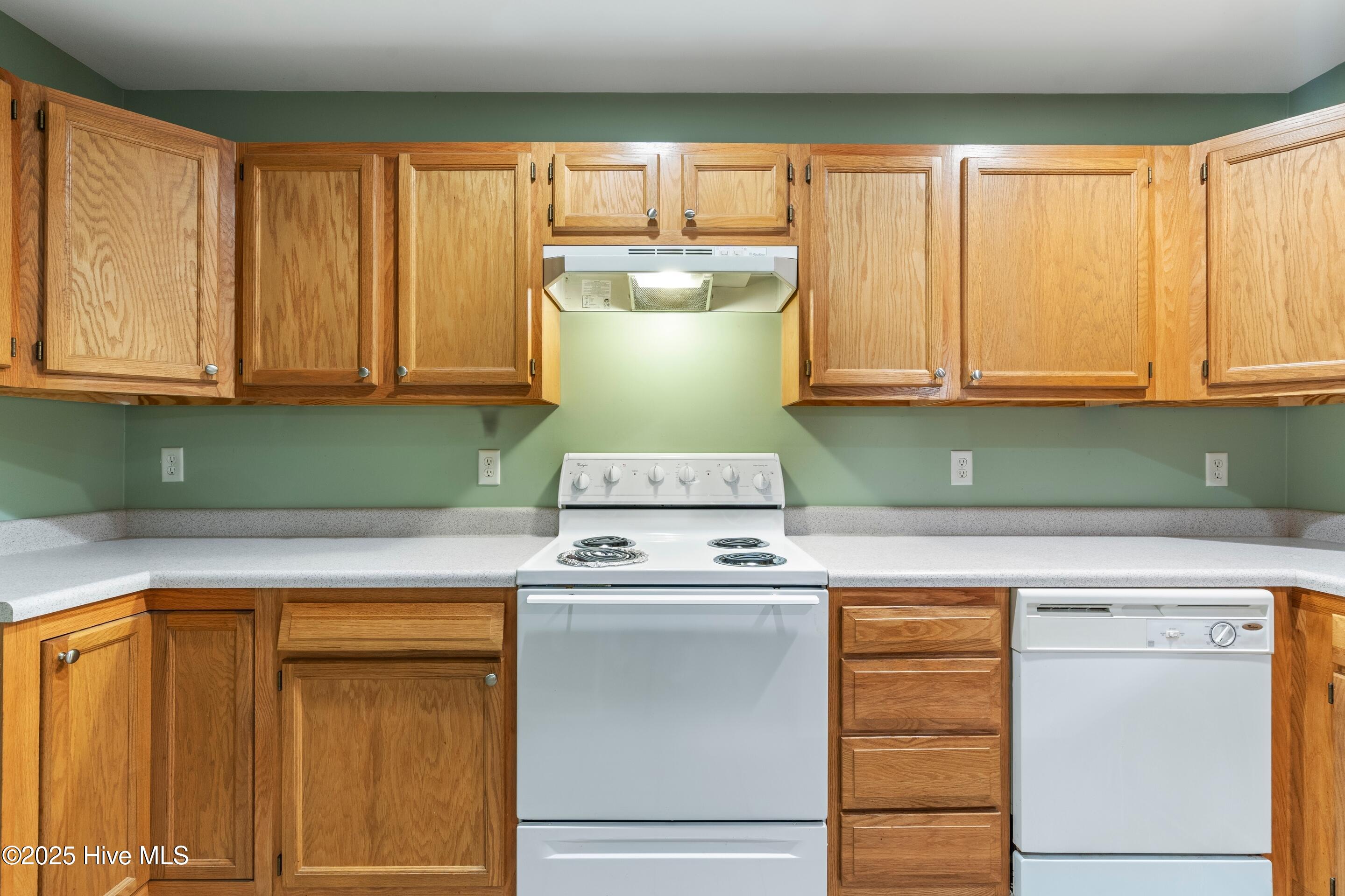 100522418 | Photo 16