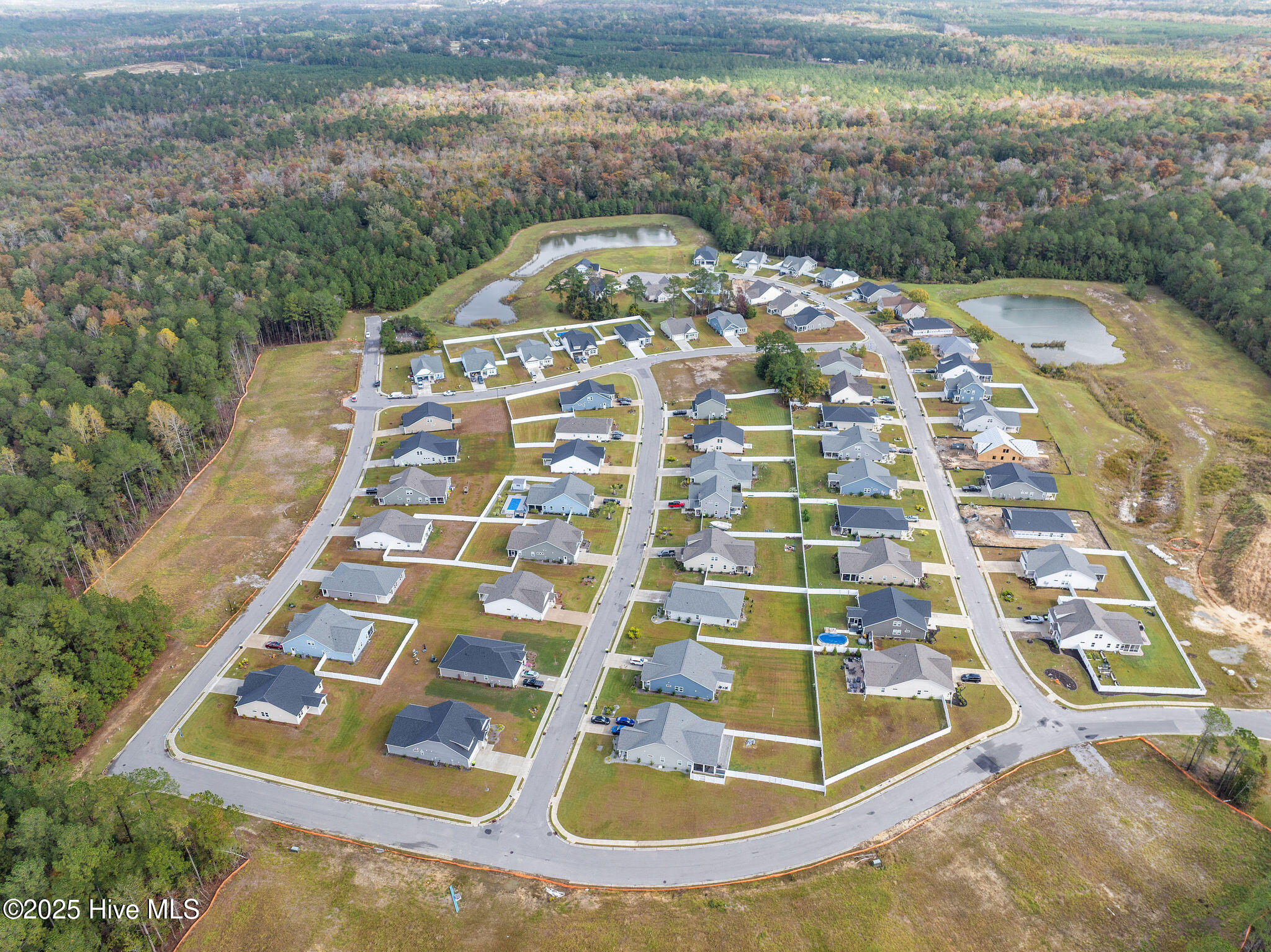 100542569 | Photo 49