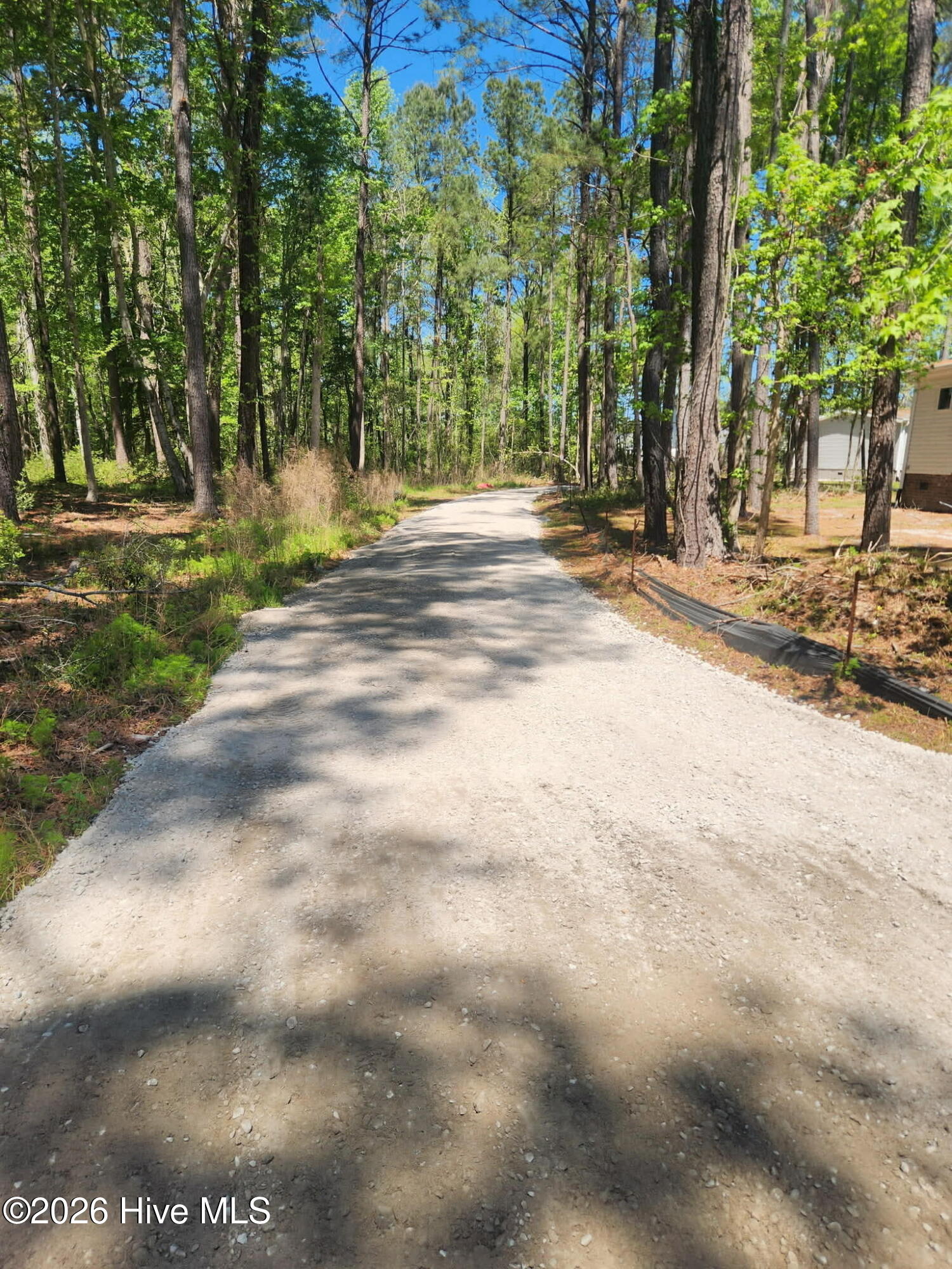 100547883 | Photo 32