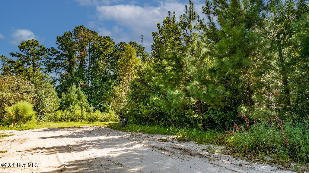 100558021 | Photo 13