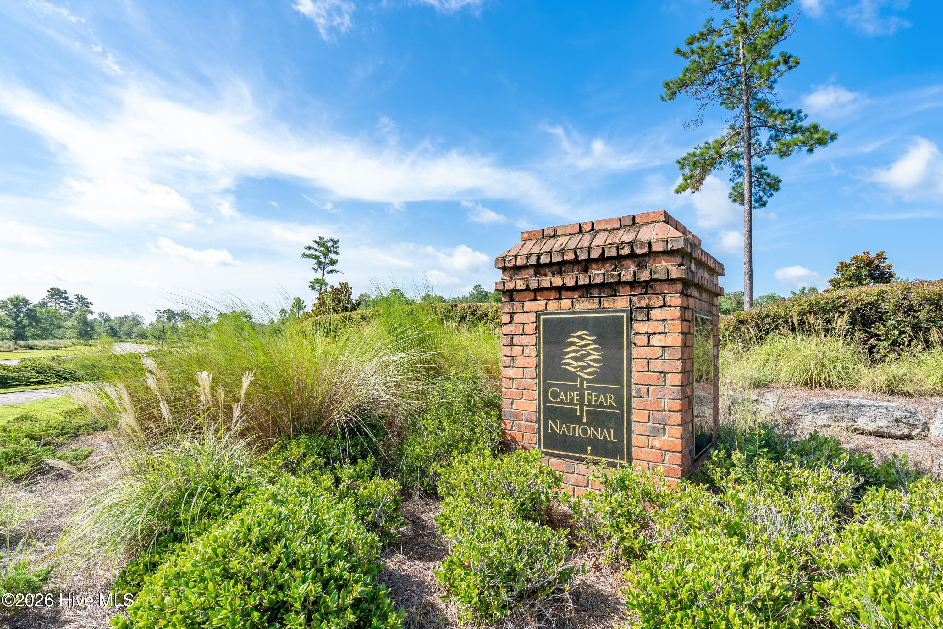 100553461 | Photo 61