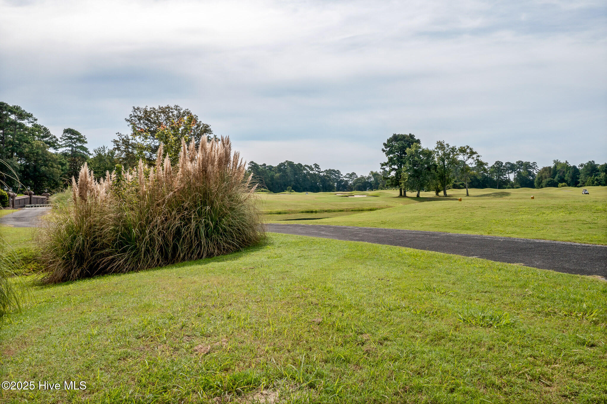 100528098 | Photo 45