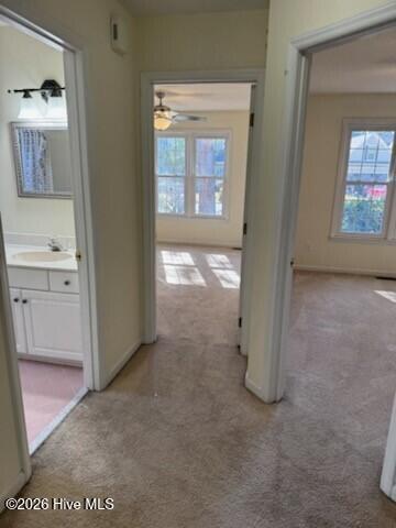 100531388 | Photo 25