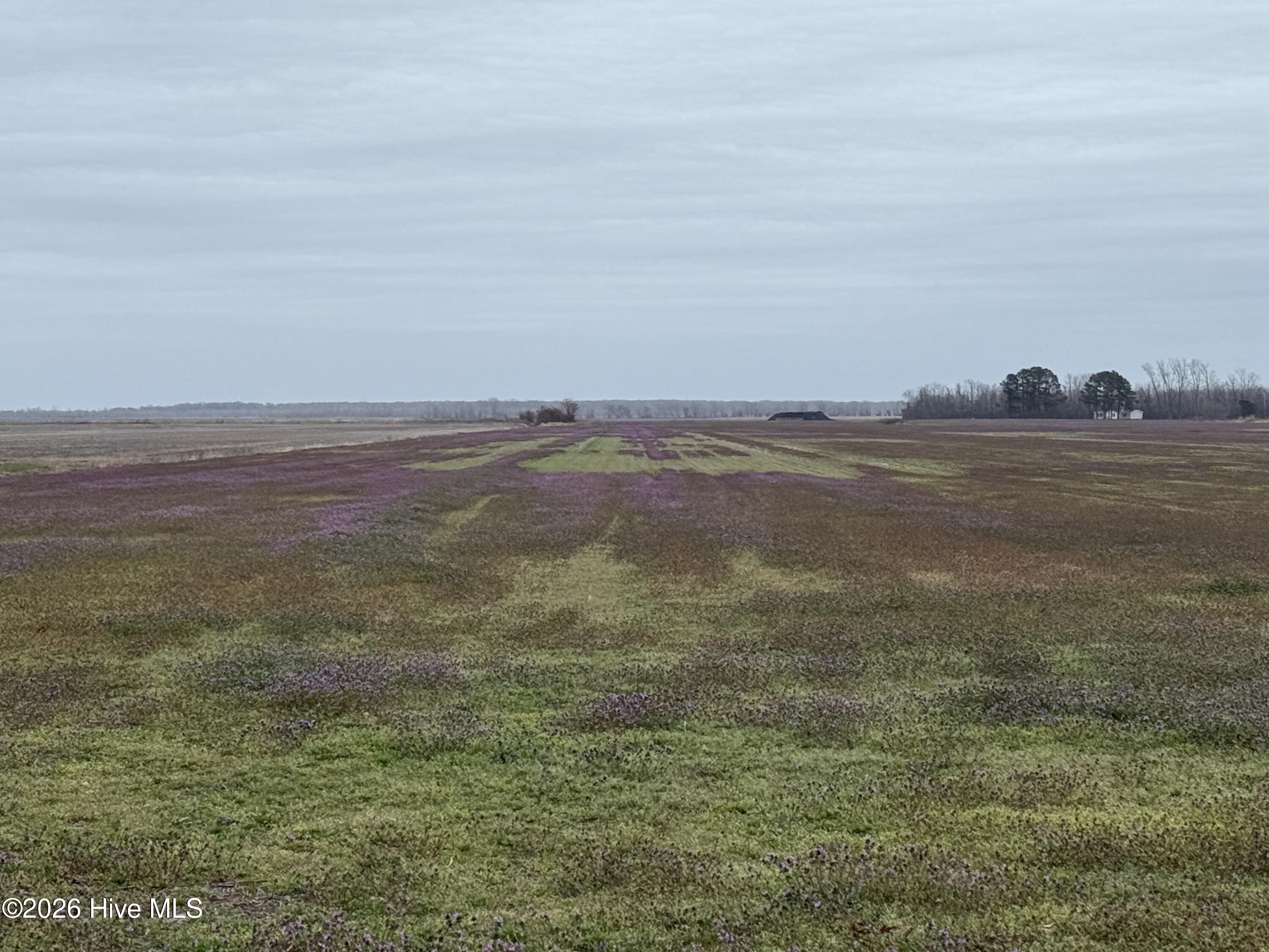 Homes for sale in Pantego, NC | 0 Nc 99, Pantego, NC 27860 | MLS# 100555818