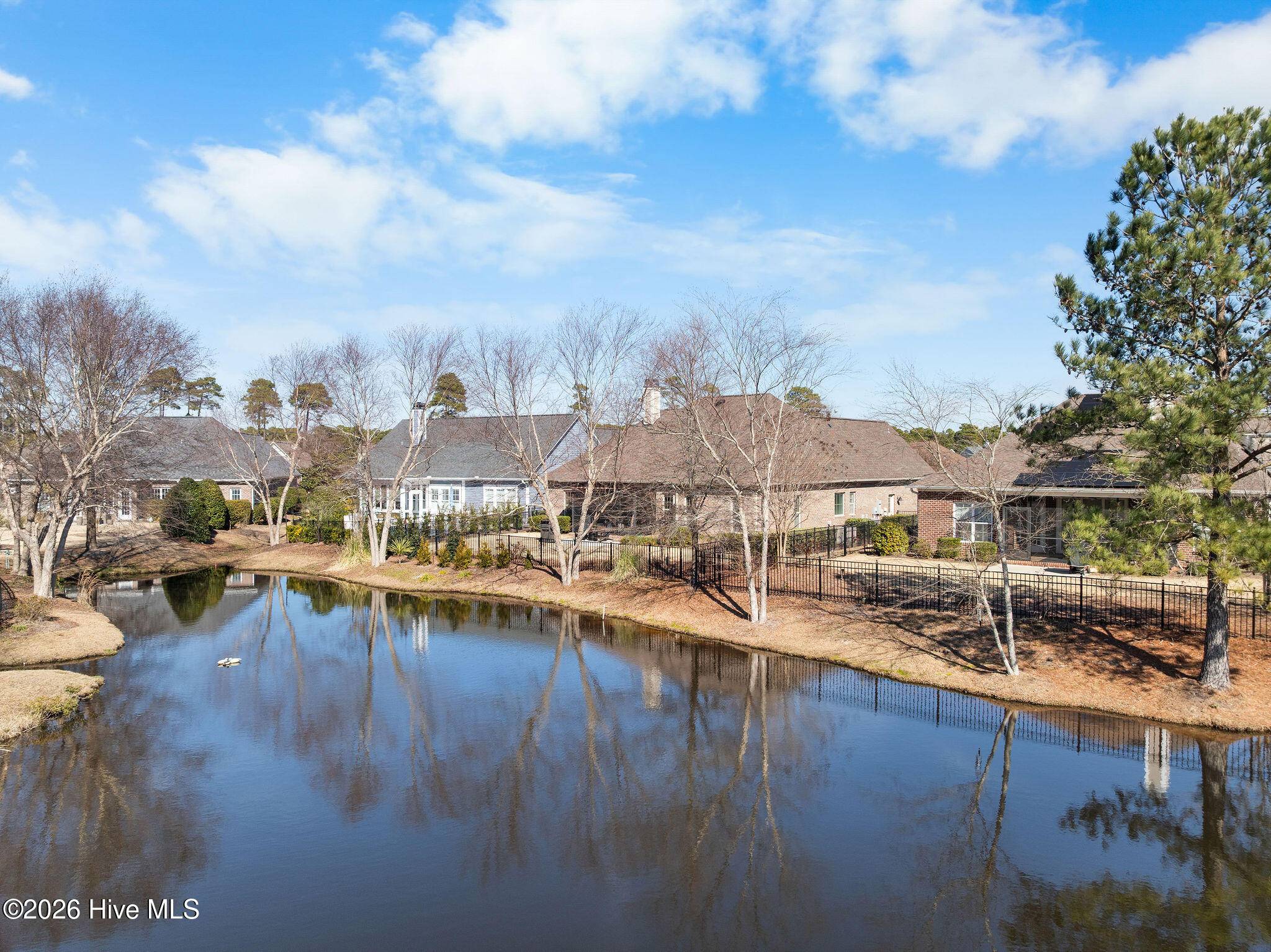 100564801 | Photo 51