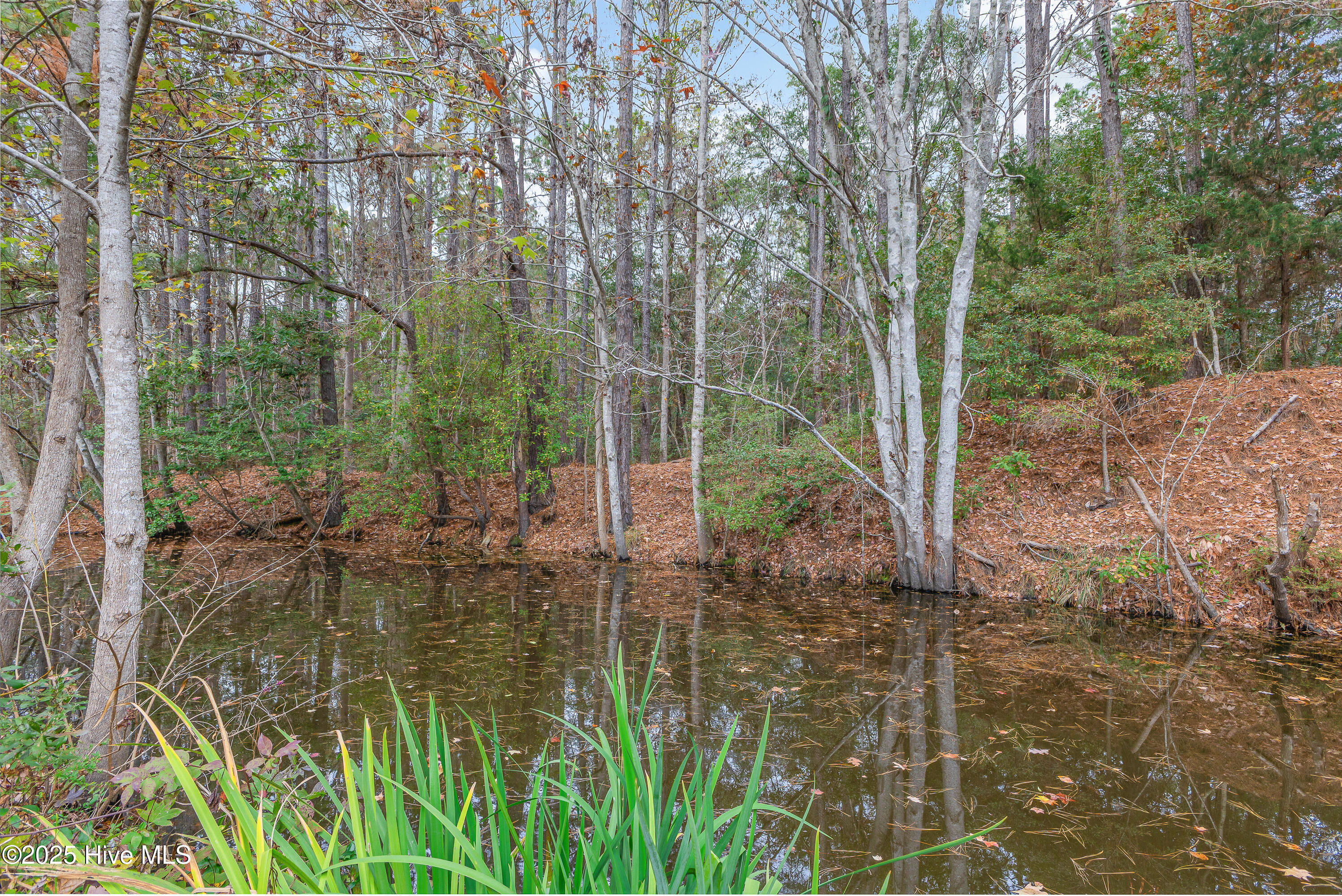 100543830 | Photo 42