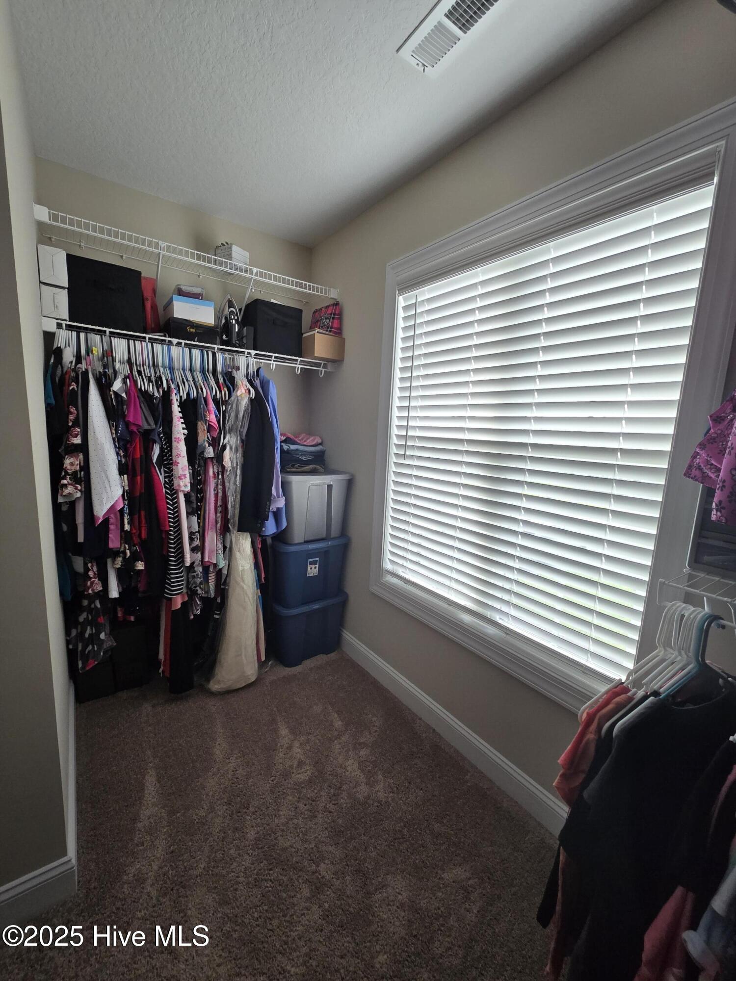 100546217 | Photo 12