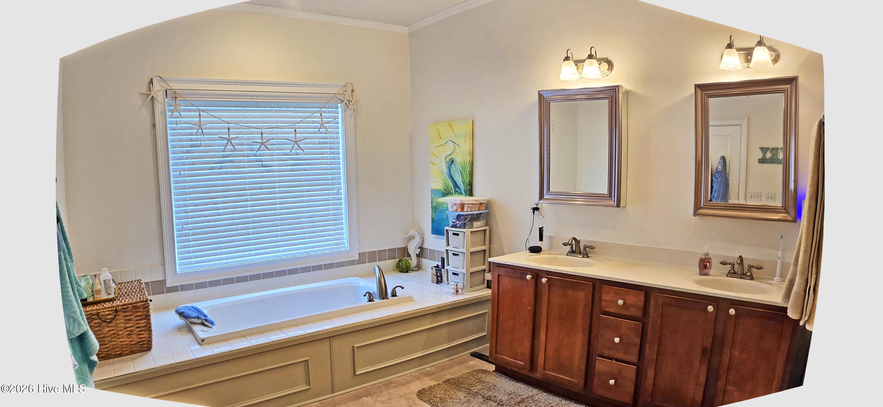 100565101 | Photo 12