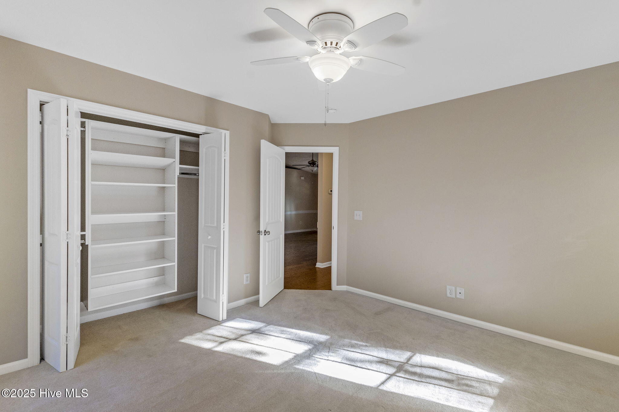 100533353 | Photo 21