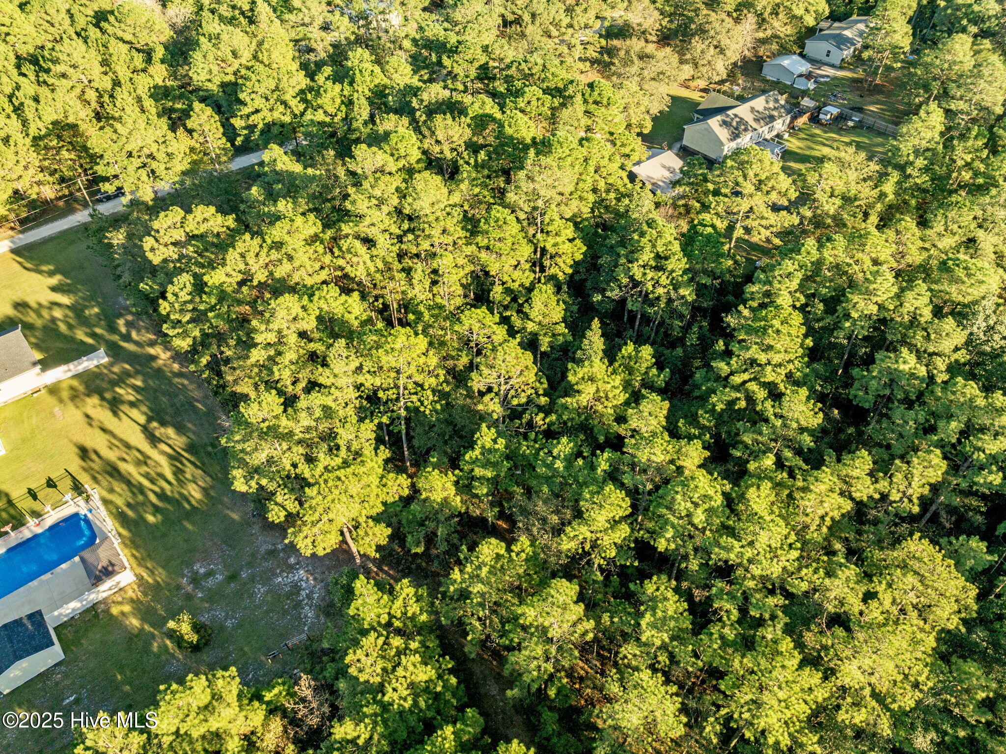 100539156 | Photo 10