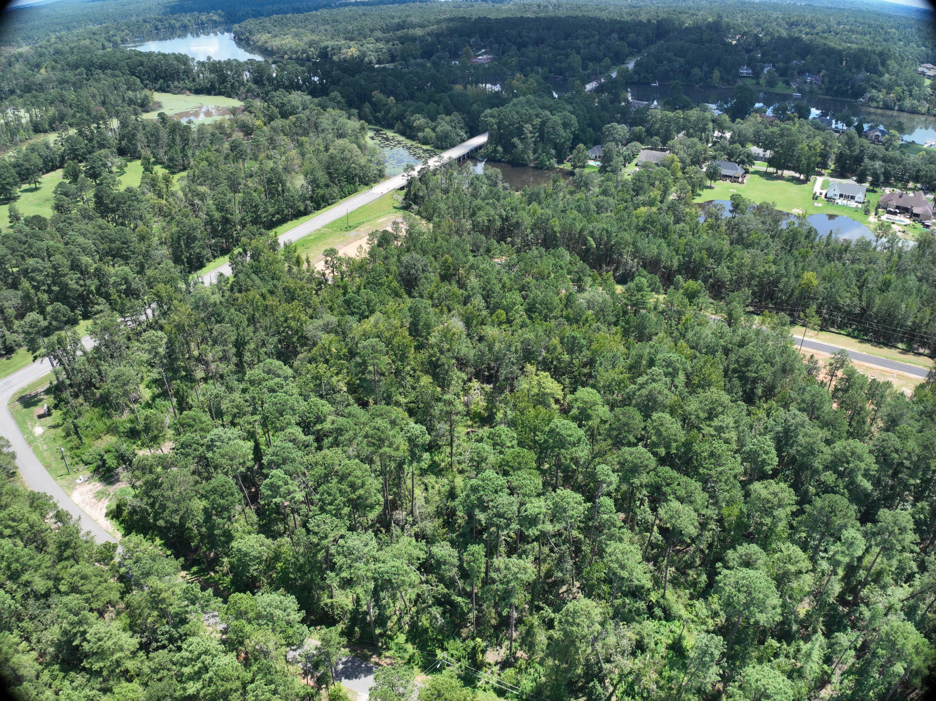 Plantation fury (24)