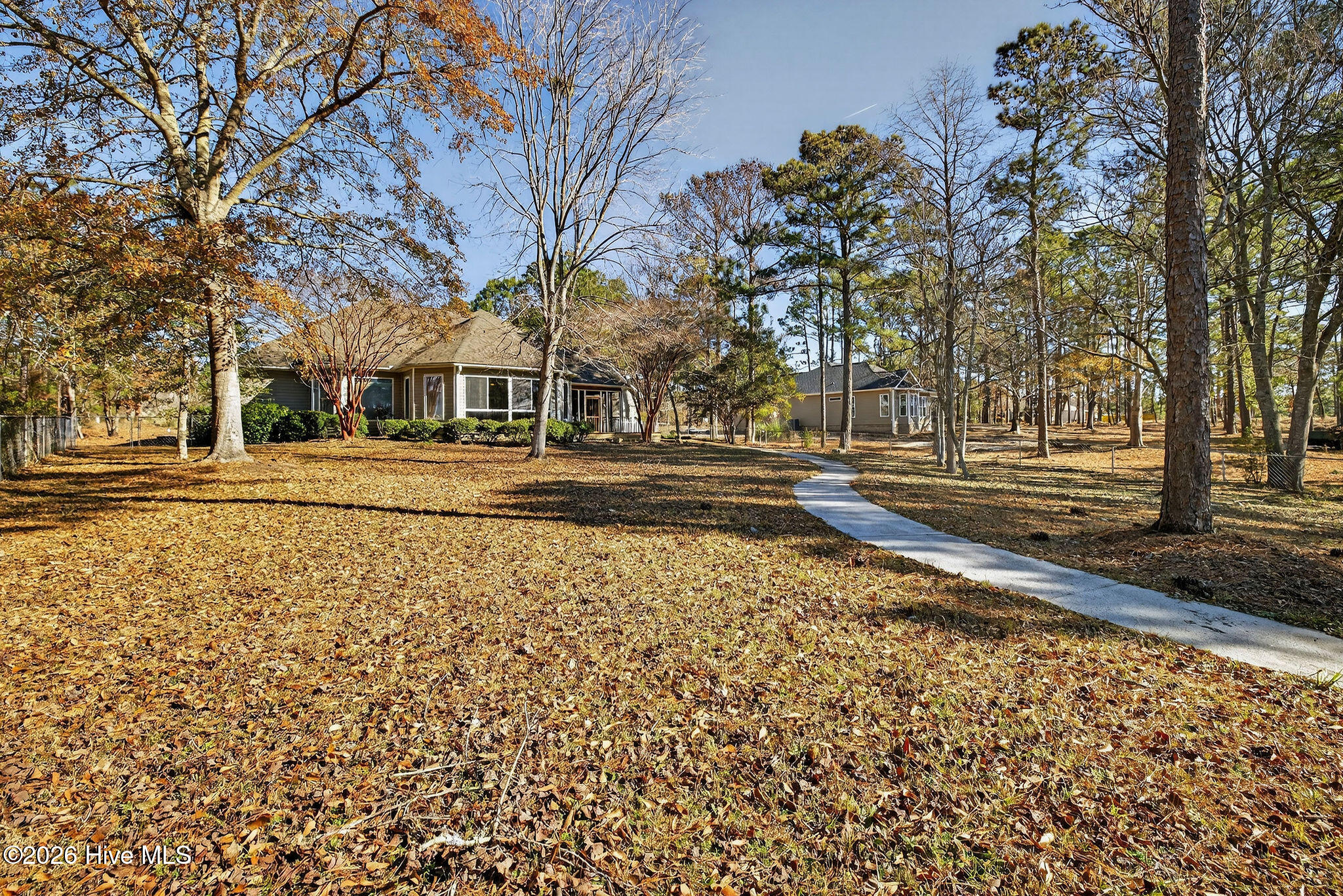 100549331 | Photo 12