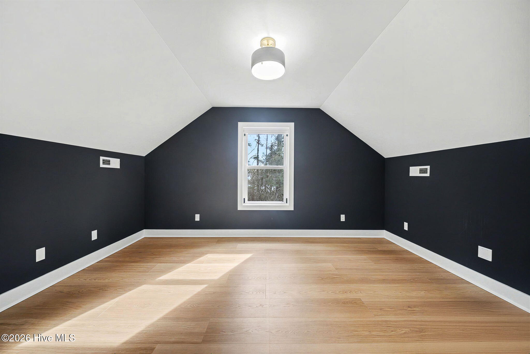 100564099 | Photo 33