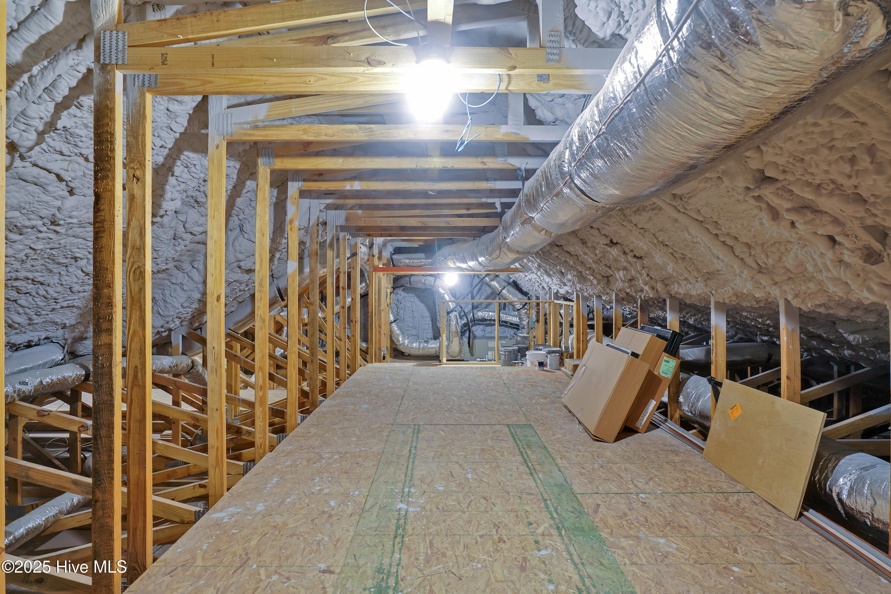 100554434 | Photo 43