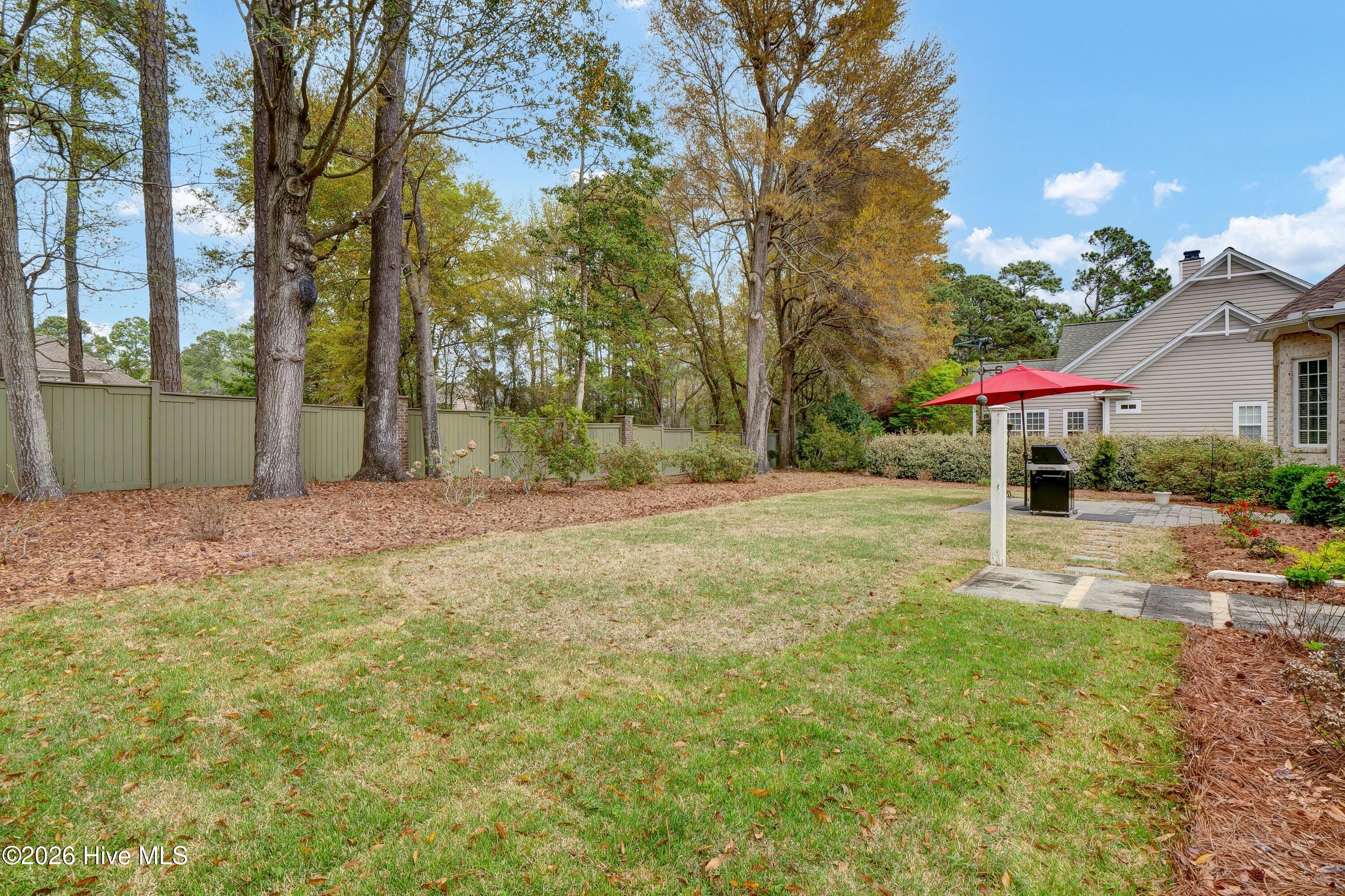 100563212 | Photo 40