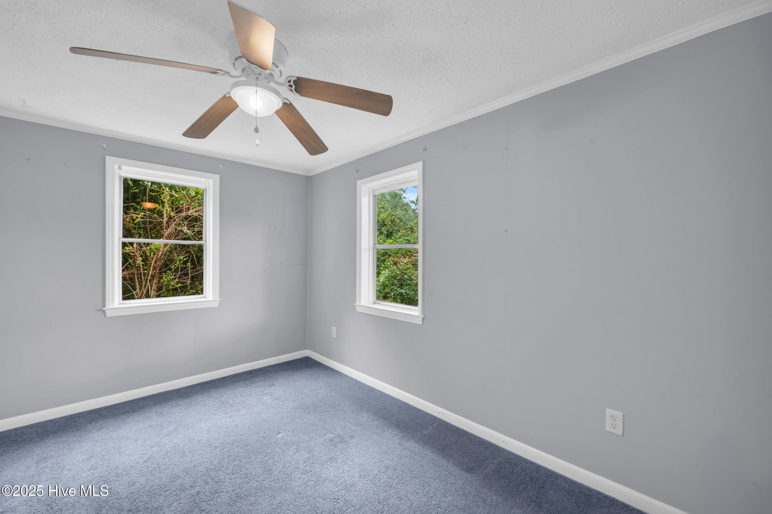 100538812 | Photo 20