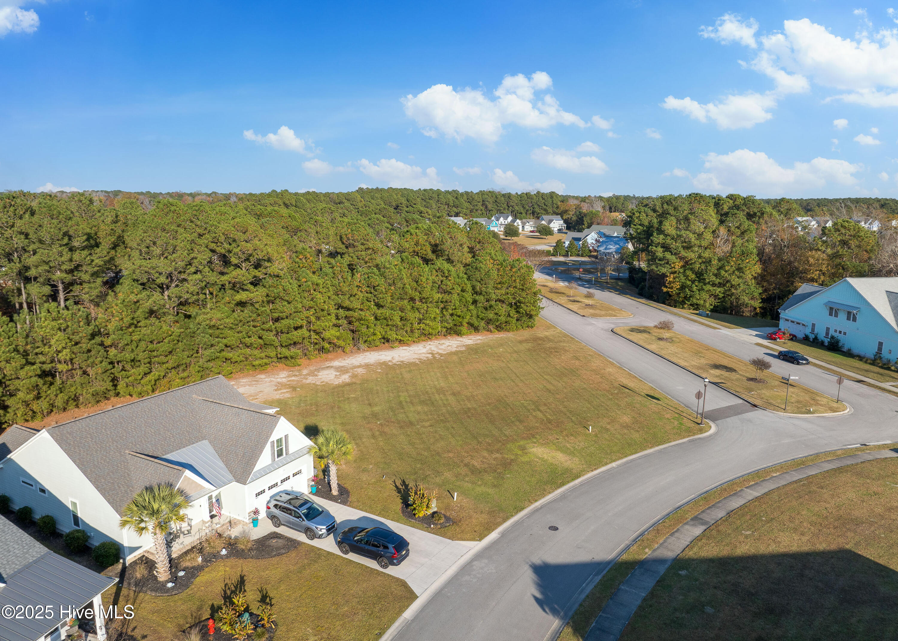 100542929 | Photo 12