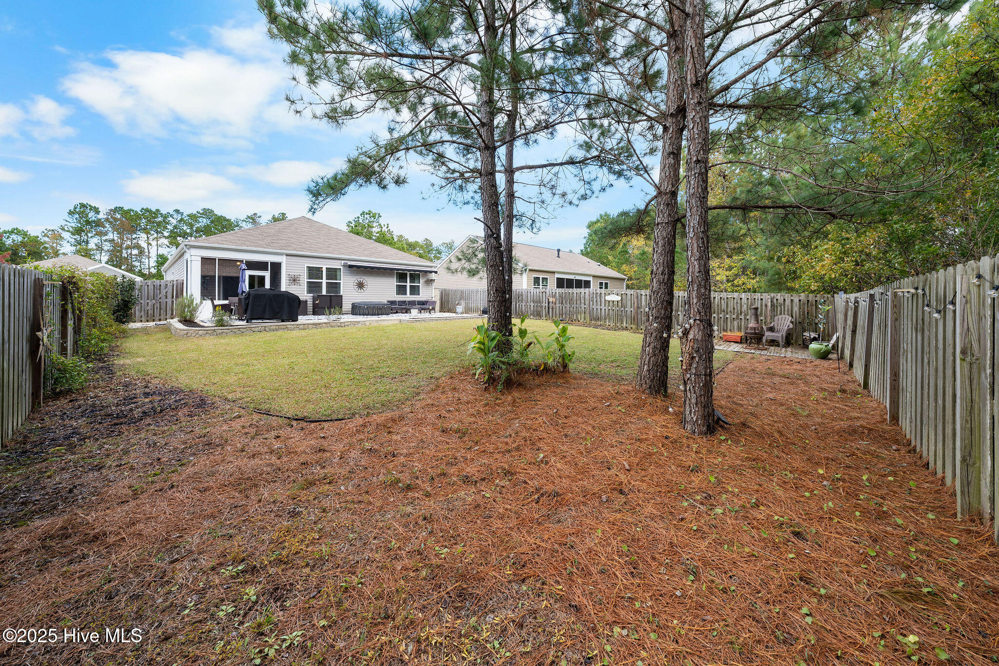 100539651 | Photo 44