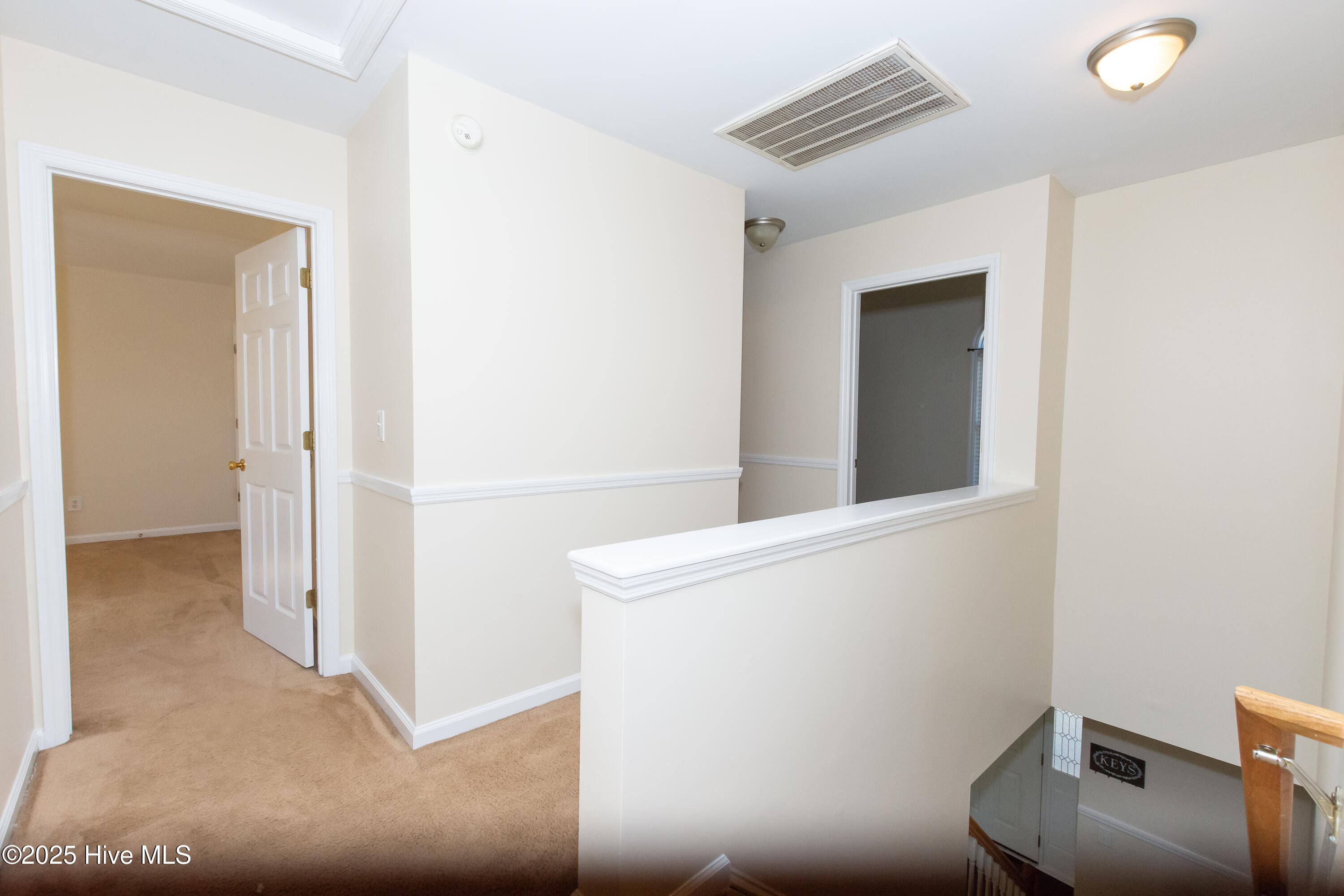 100541193 | Photo 20