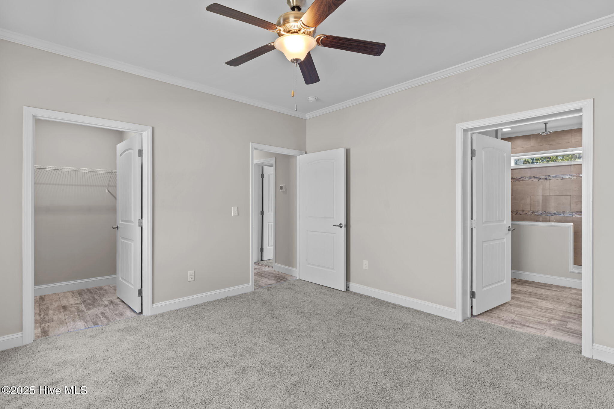 100529726 | Photo 22