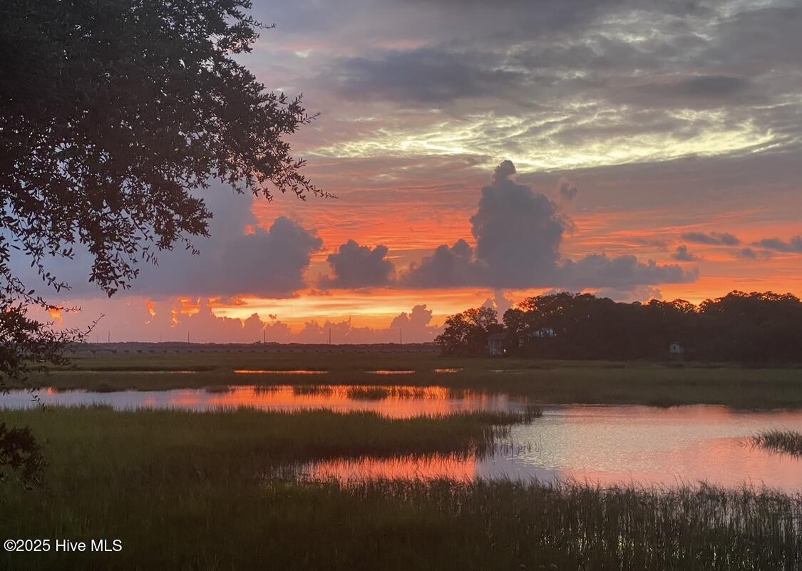 100538347 | Photo 21